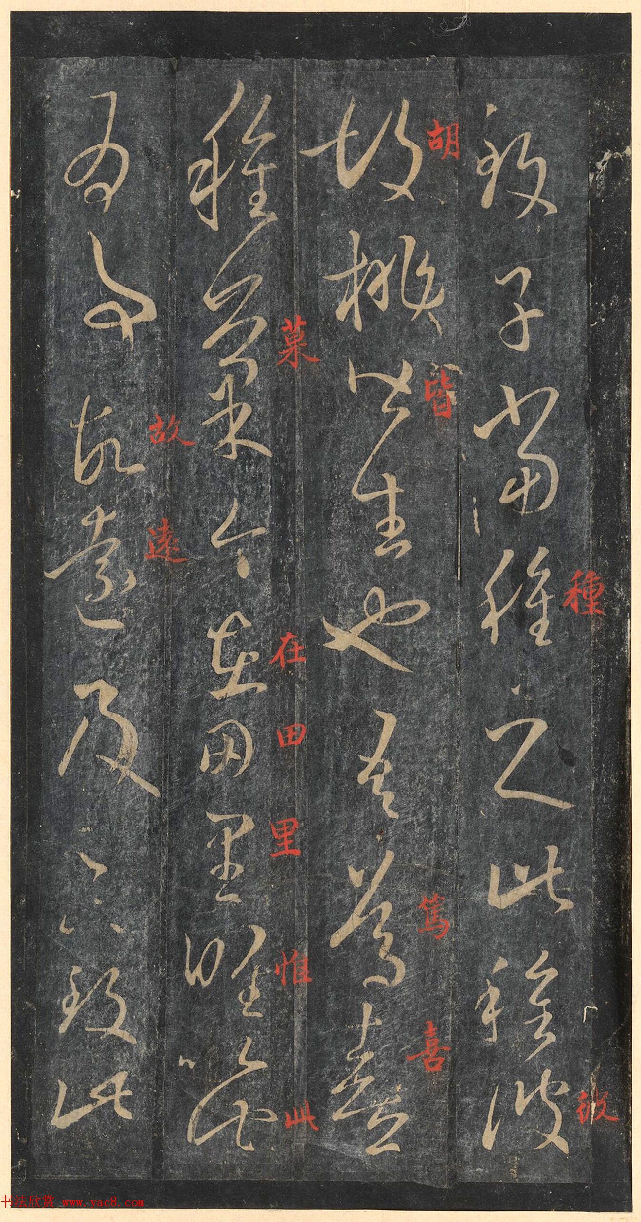 书圣王羲之草书《十七帖》含朱文释文（美国藏）