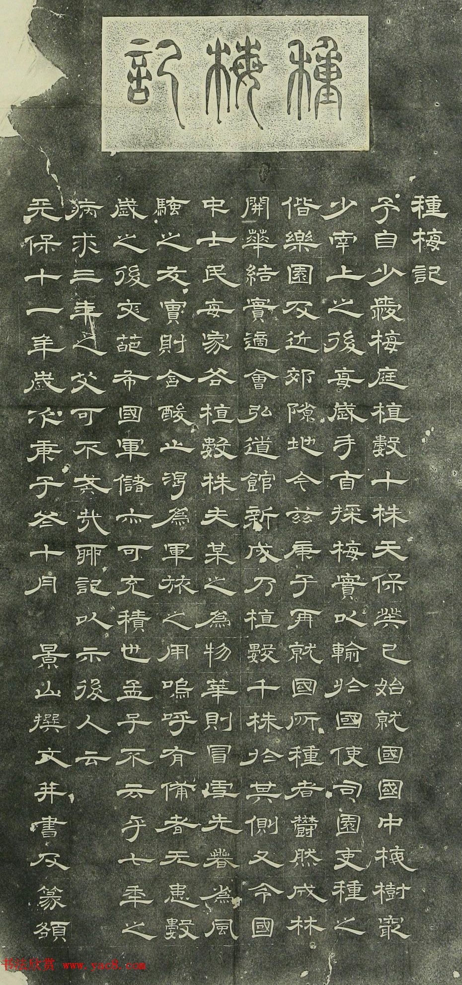 日本景山隶书《种梅记》