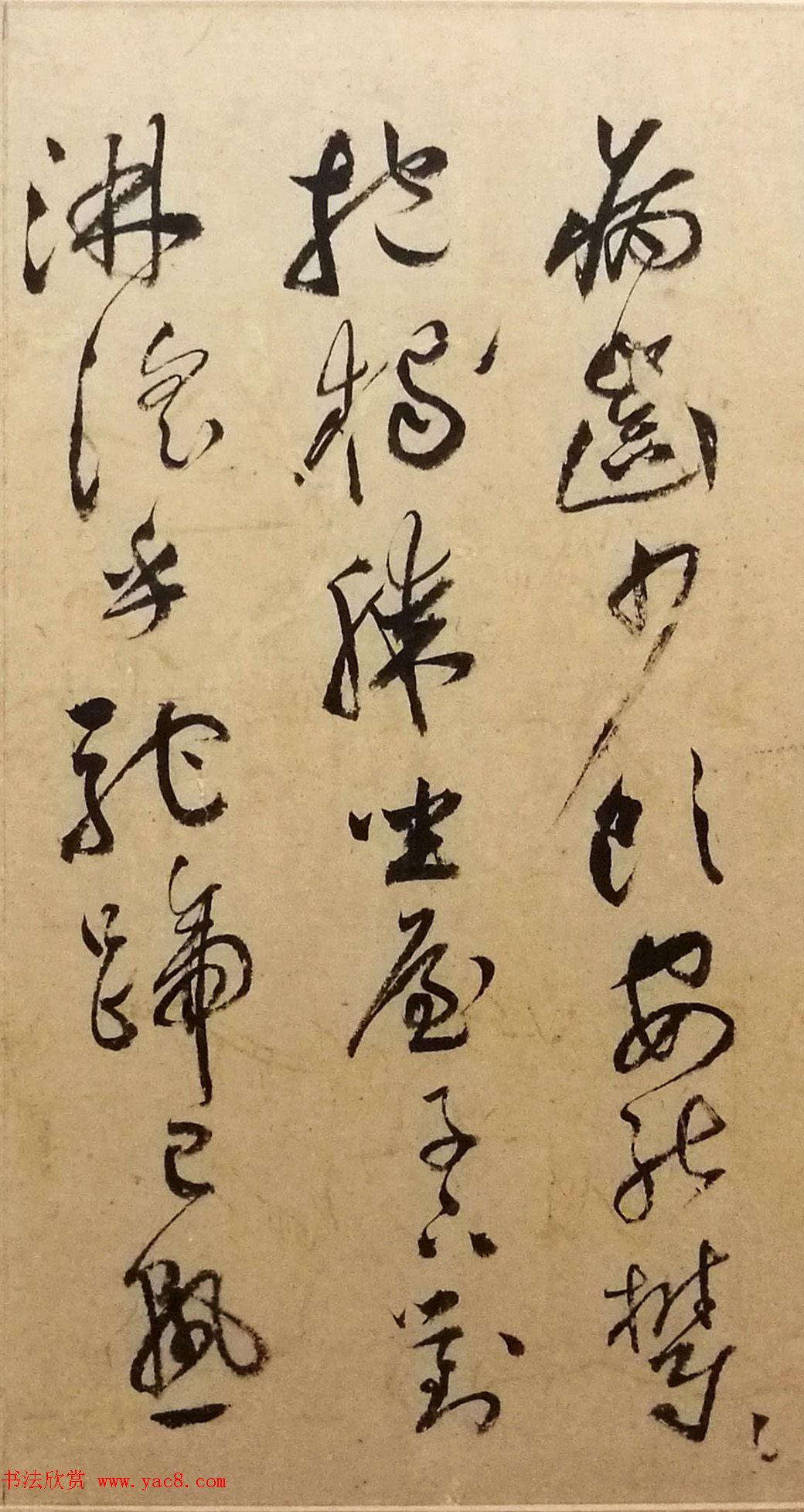 祝允明行草书《致文贵札》2帖