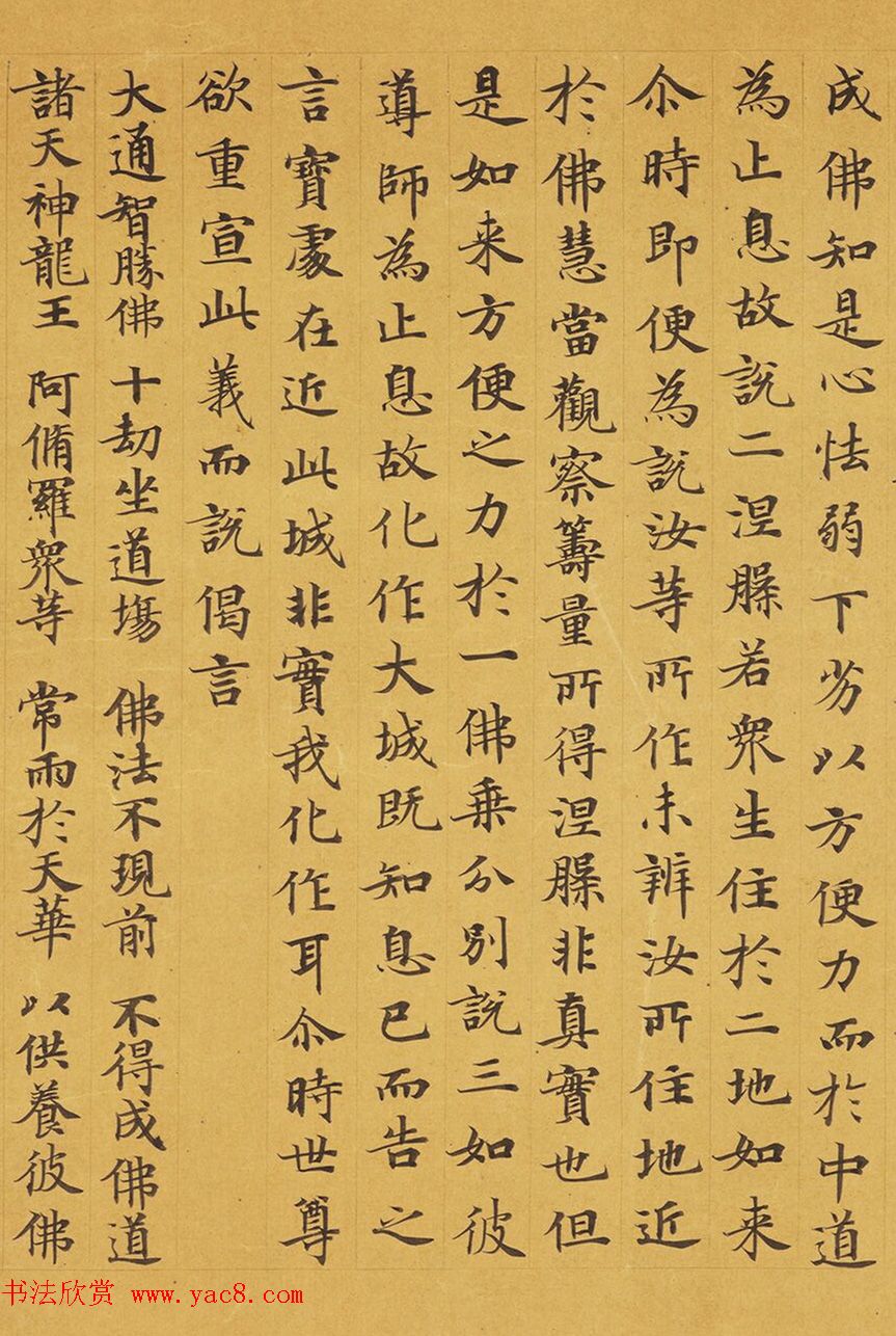 唐代赵文审小楷写经精品《妙法莲花经》