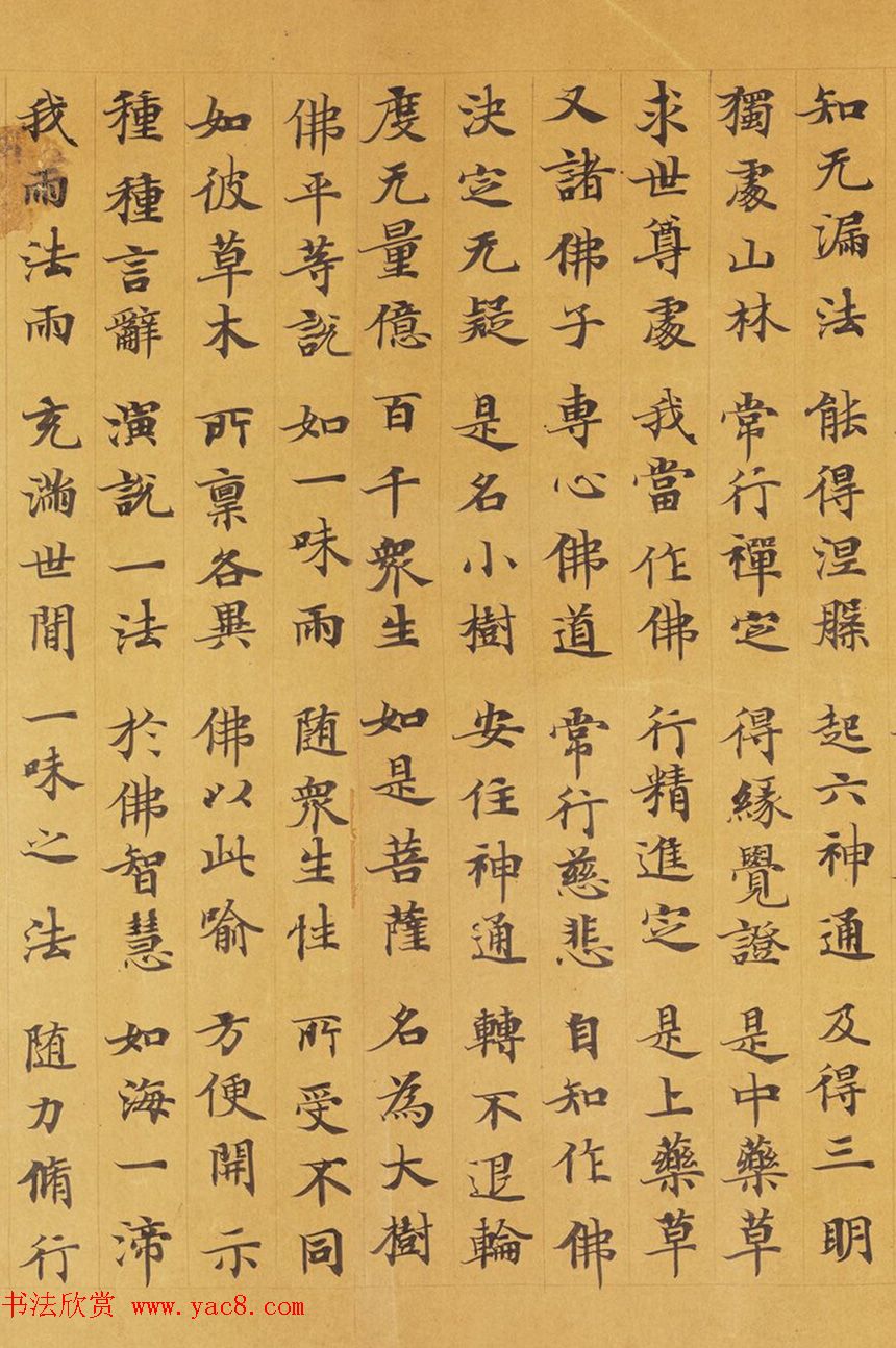 唐代赵文审小楷写经精品《妙法莲花经》