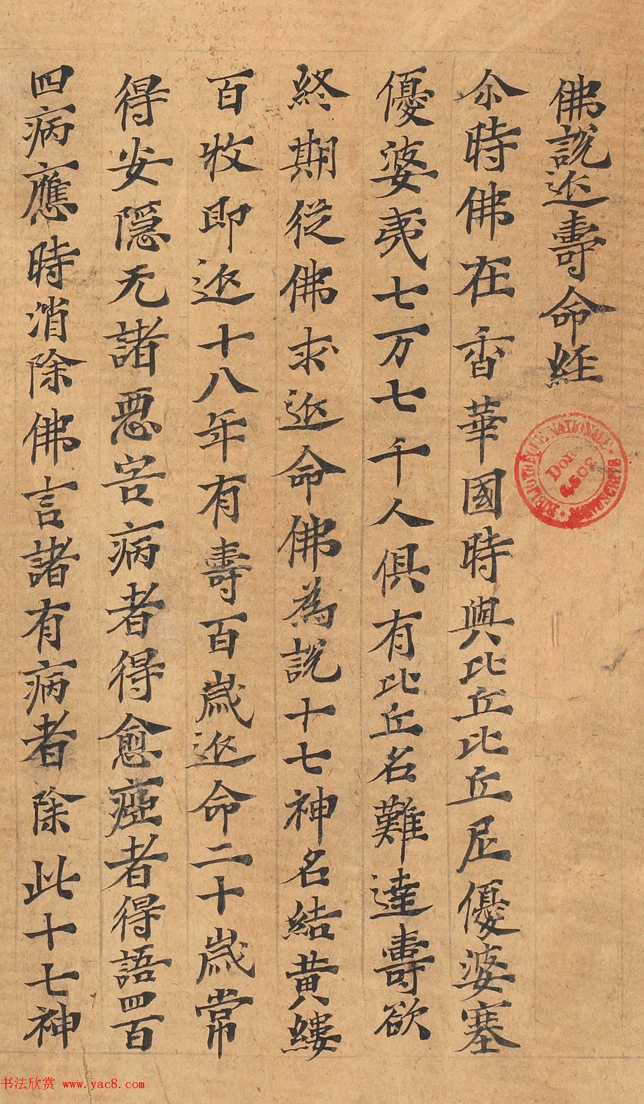 敦煌写经手稿《佛说延寿命经》