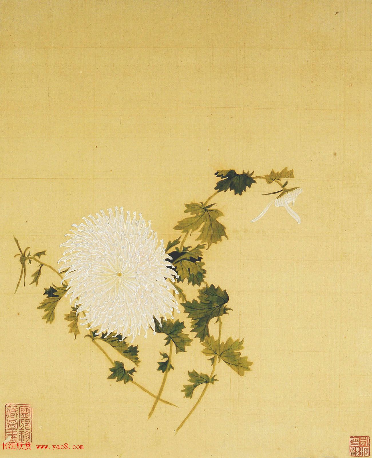 清代书法家湛畗书《菊谱》册页