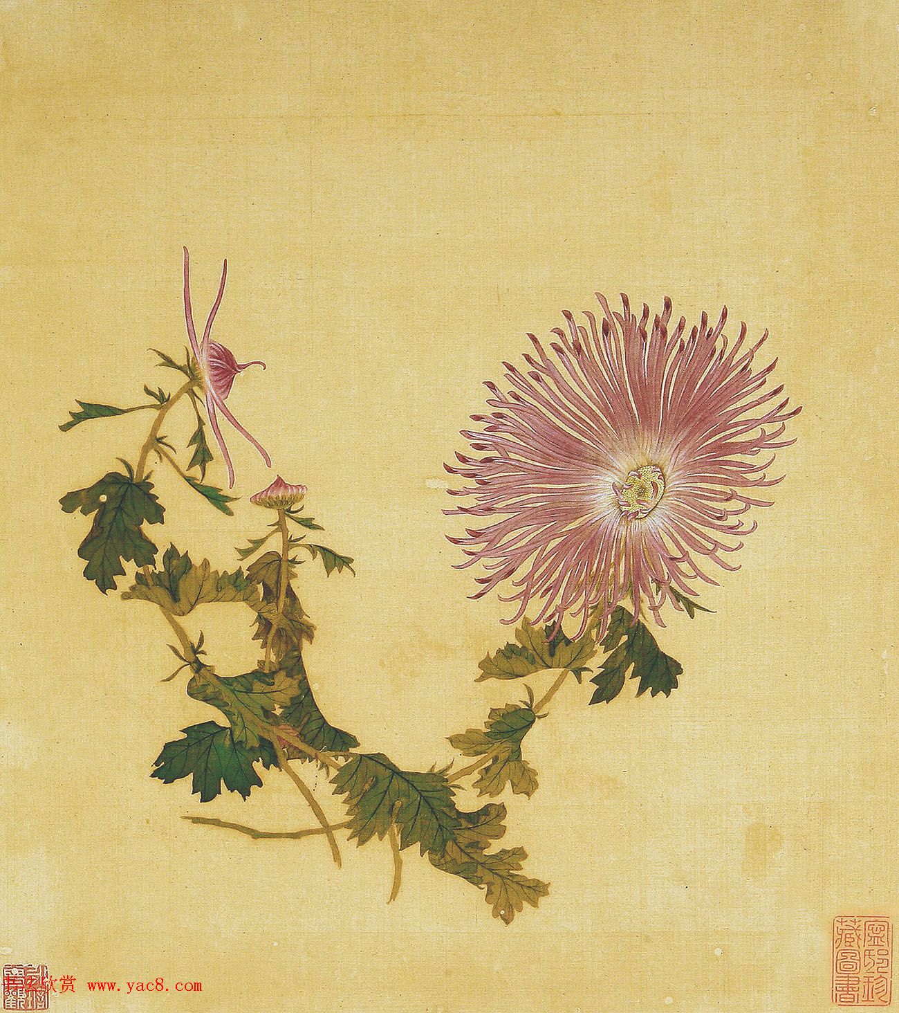 清代书法家湛畗书《菊谱》册页