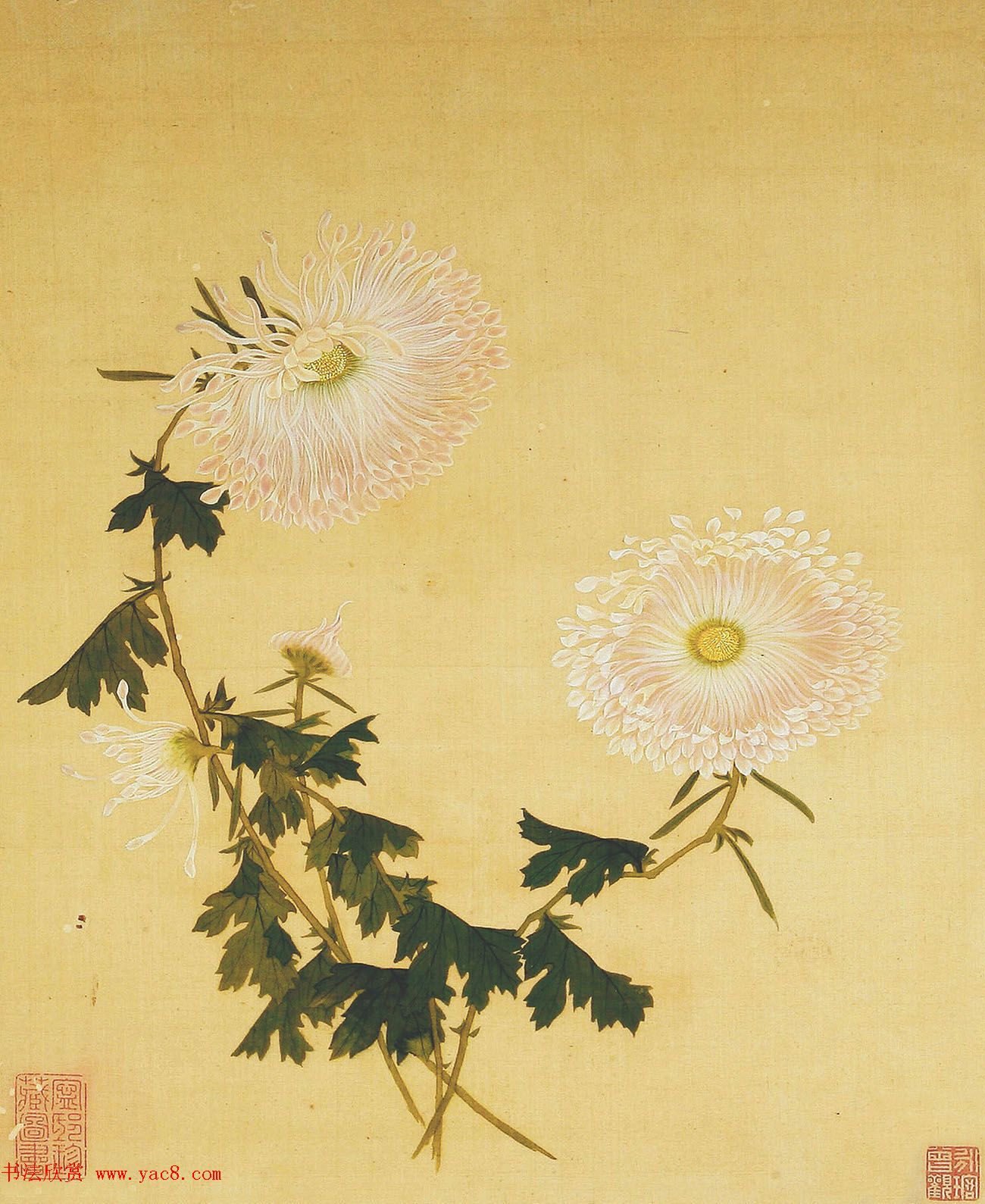 清代书法家湛畗书《菊谱》册页