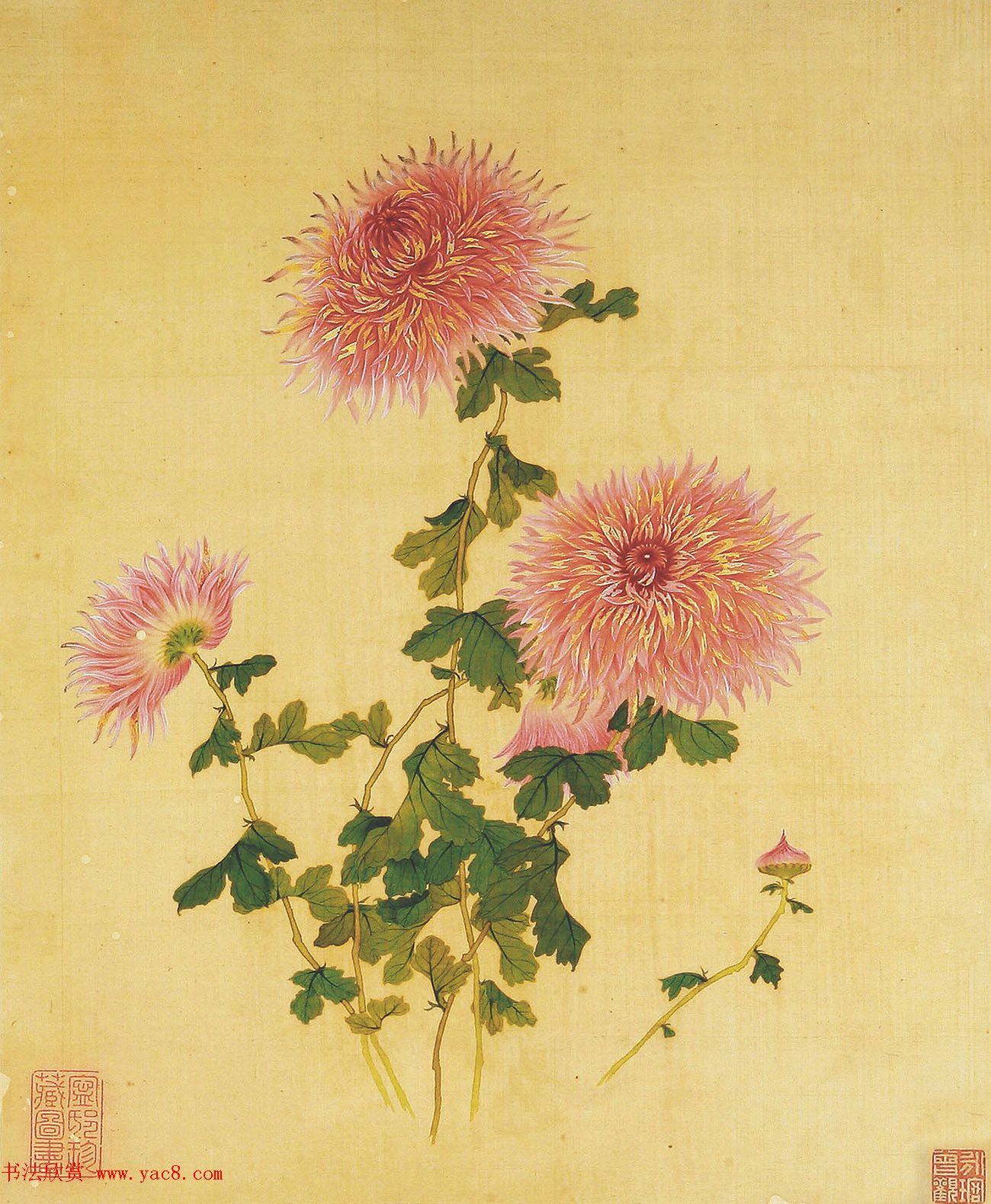 清代书法家湛畗书《菊谱》册页