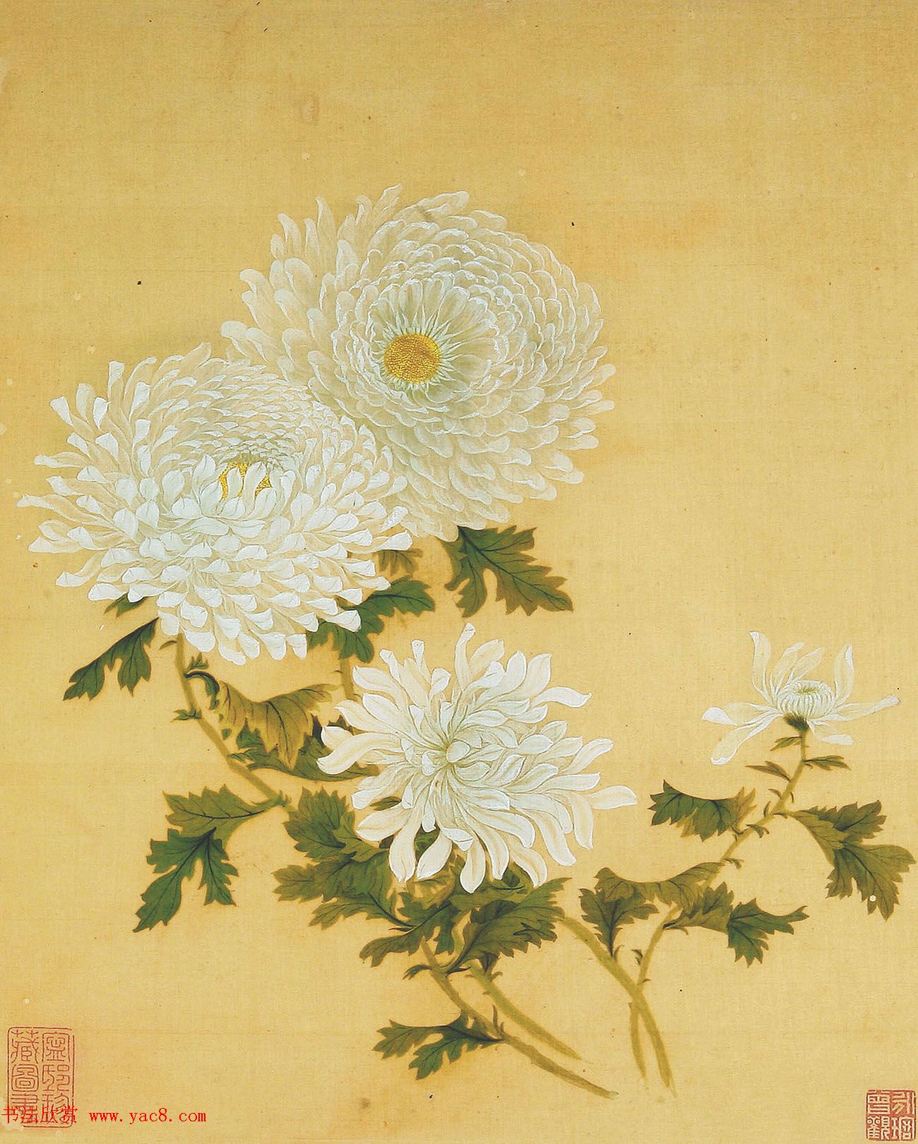 清代书法家湛畗书《菊谱》册页