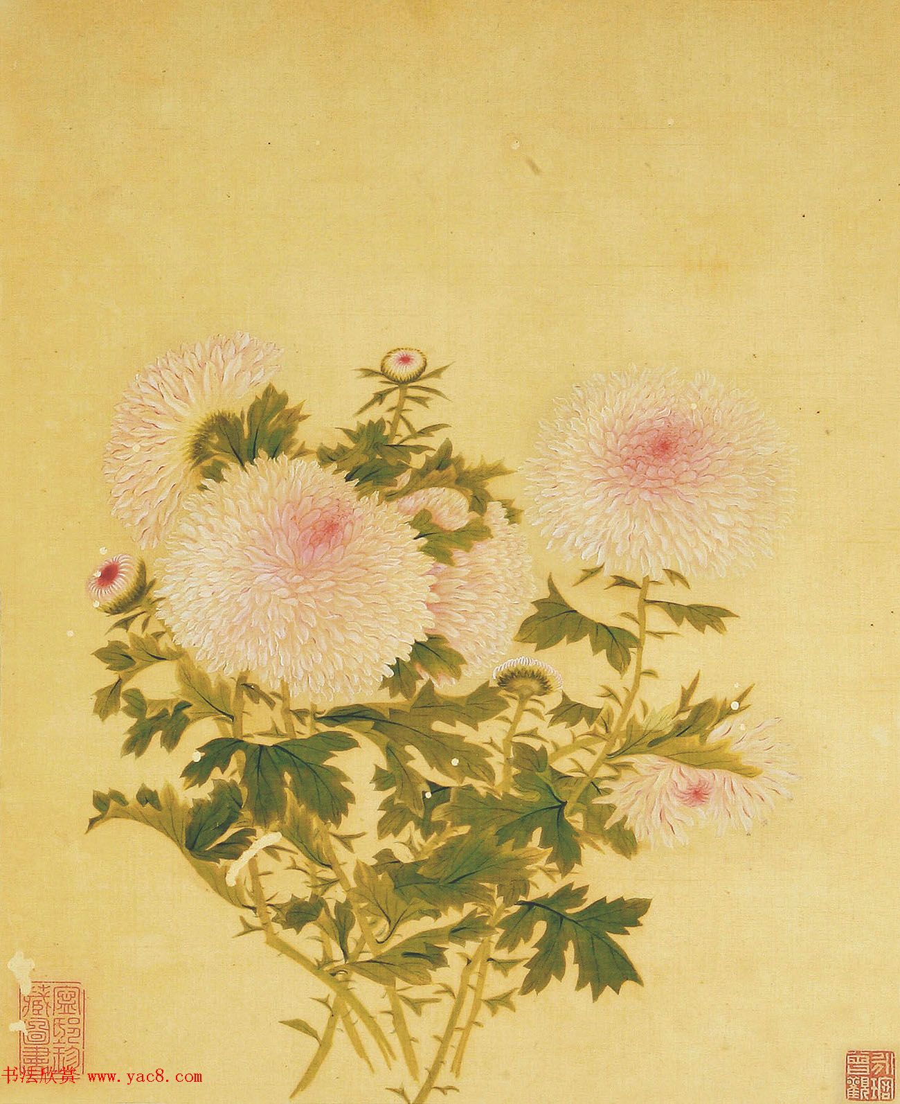 清代书法家湛畗书《菊谱》册页