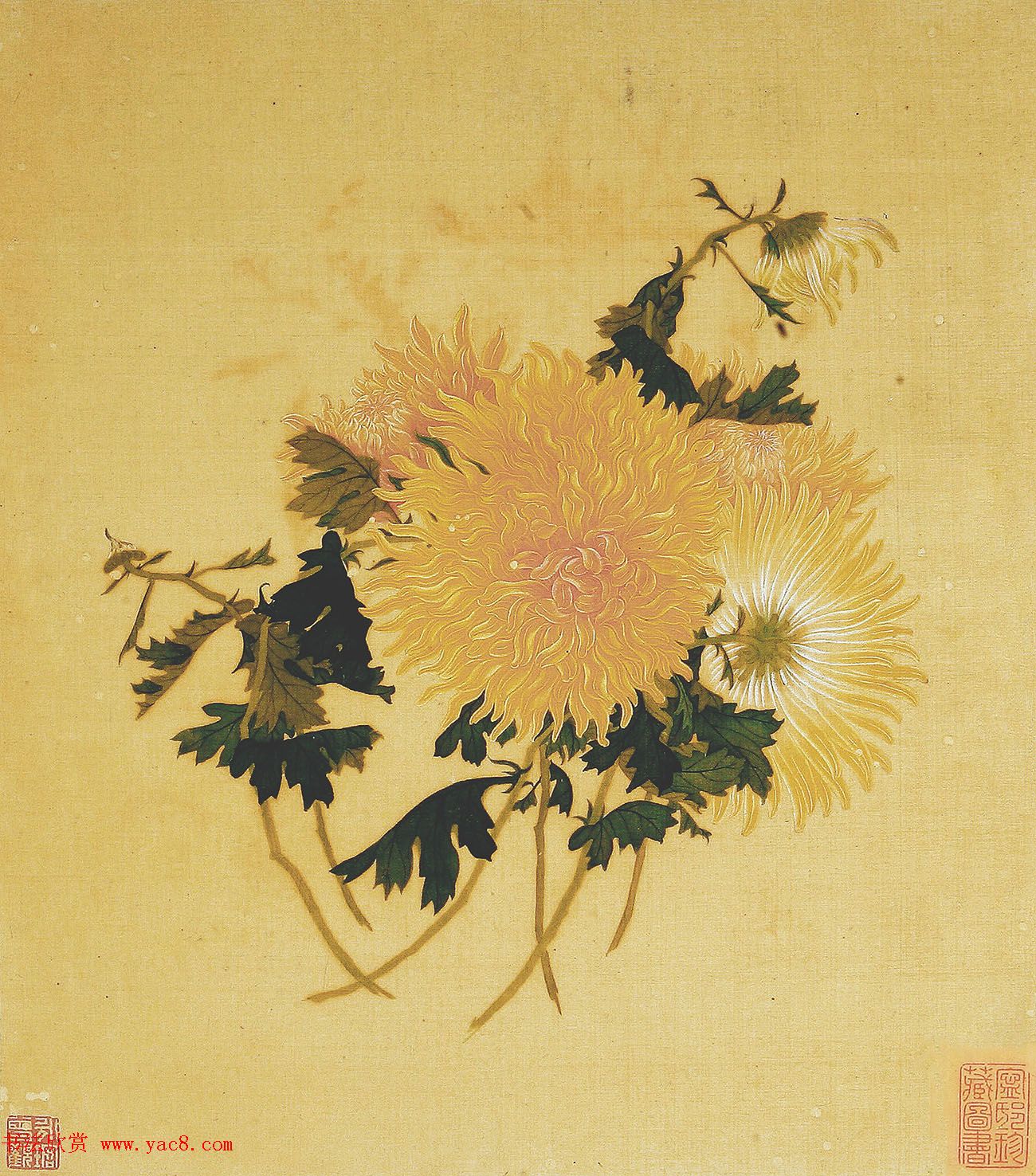 清代书法家湛畗书《菊谱》册页