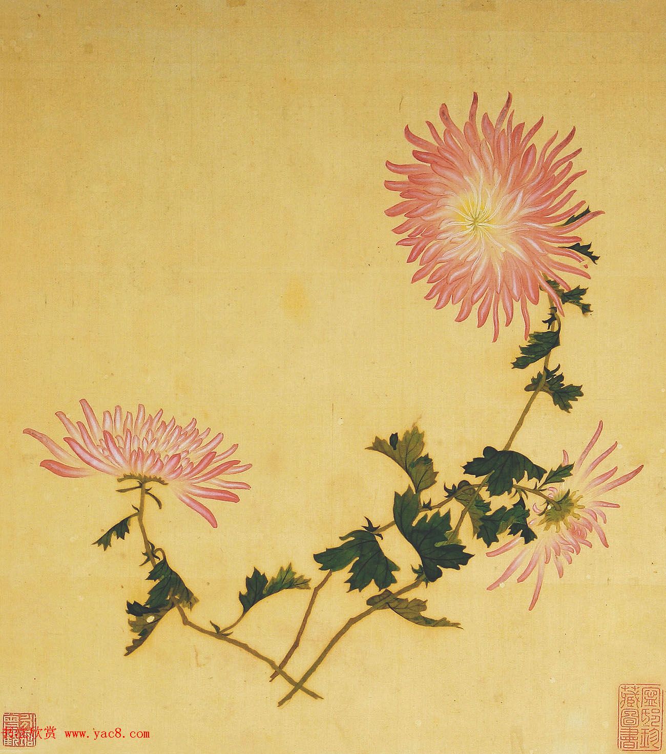 清代书法家湛畗书《菊谱》册页