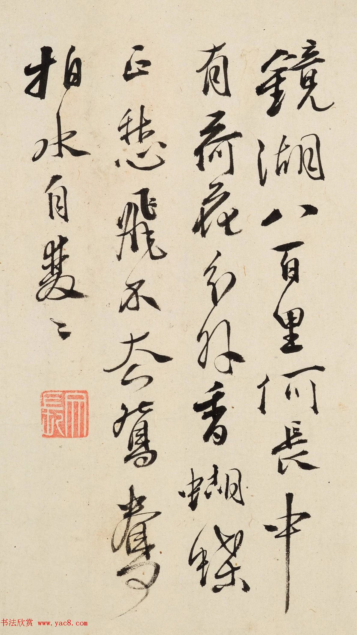 徐渭行书欣赏《自题画卷诗文》