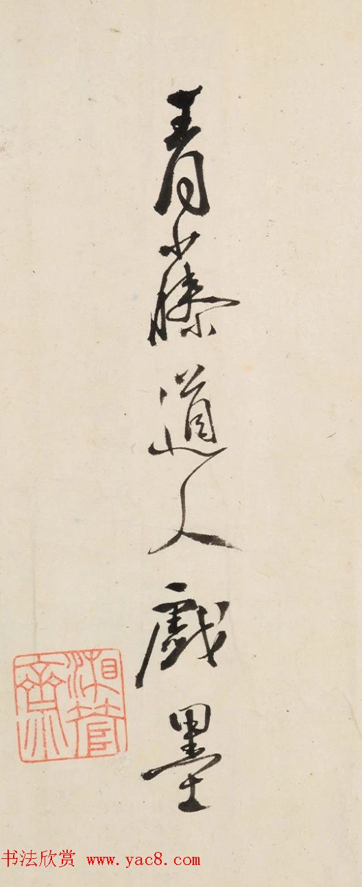 徐渭行书欣赏《自题画卷诗文》