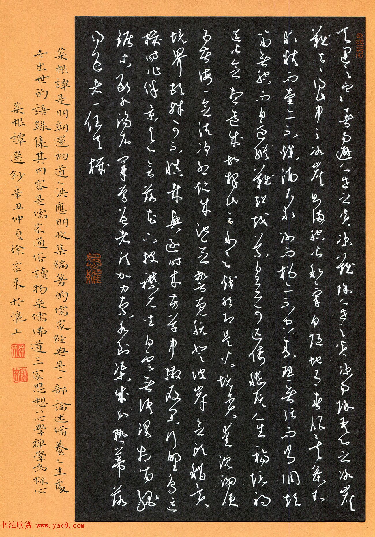 “品翰堂杯”第七届中国硬笔书法公开赛铜奖作品欣赏