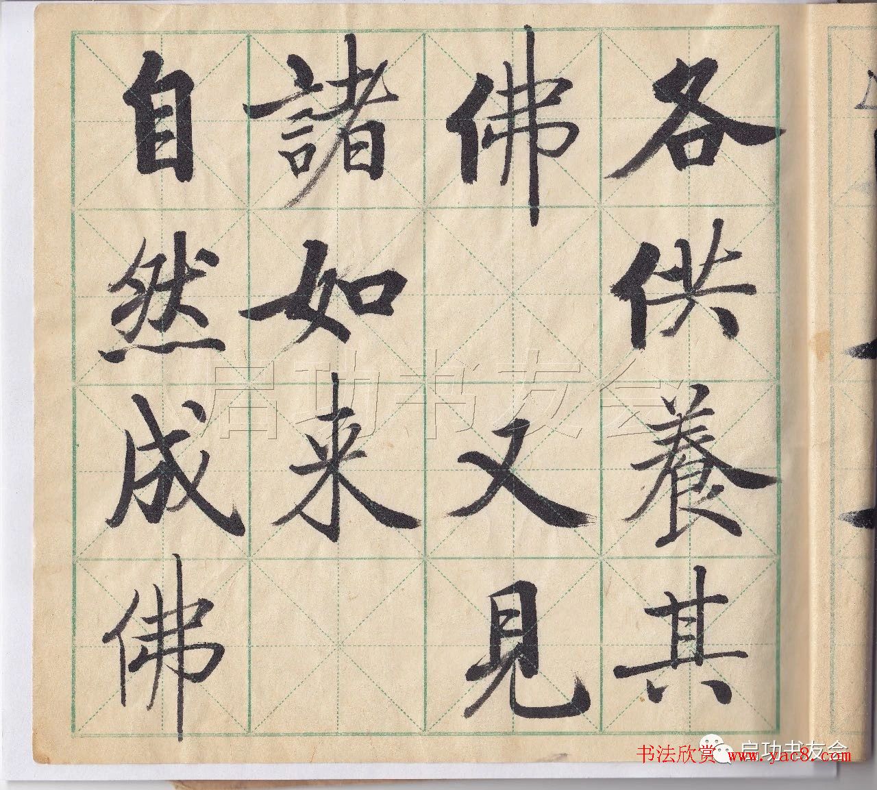 启功先生临唐人写经