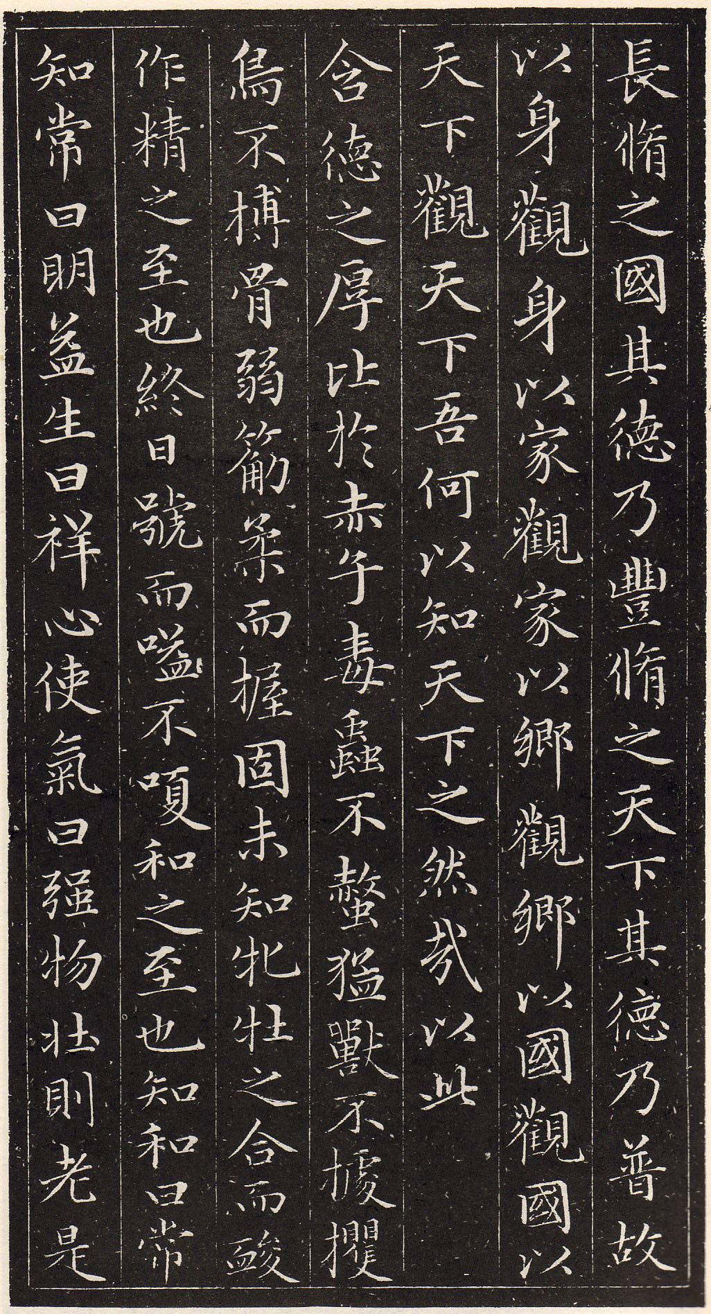 赵孟頫书安素轩石刻