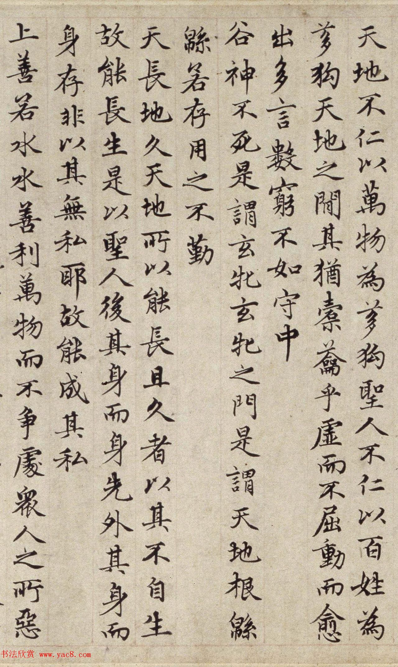 赵孟頫(款)小楷道德经卷