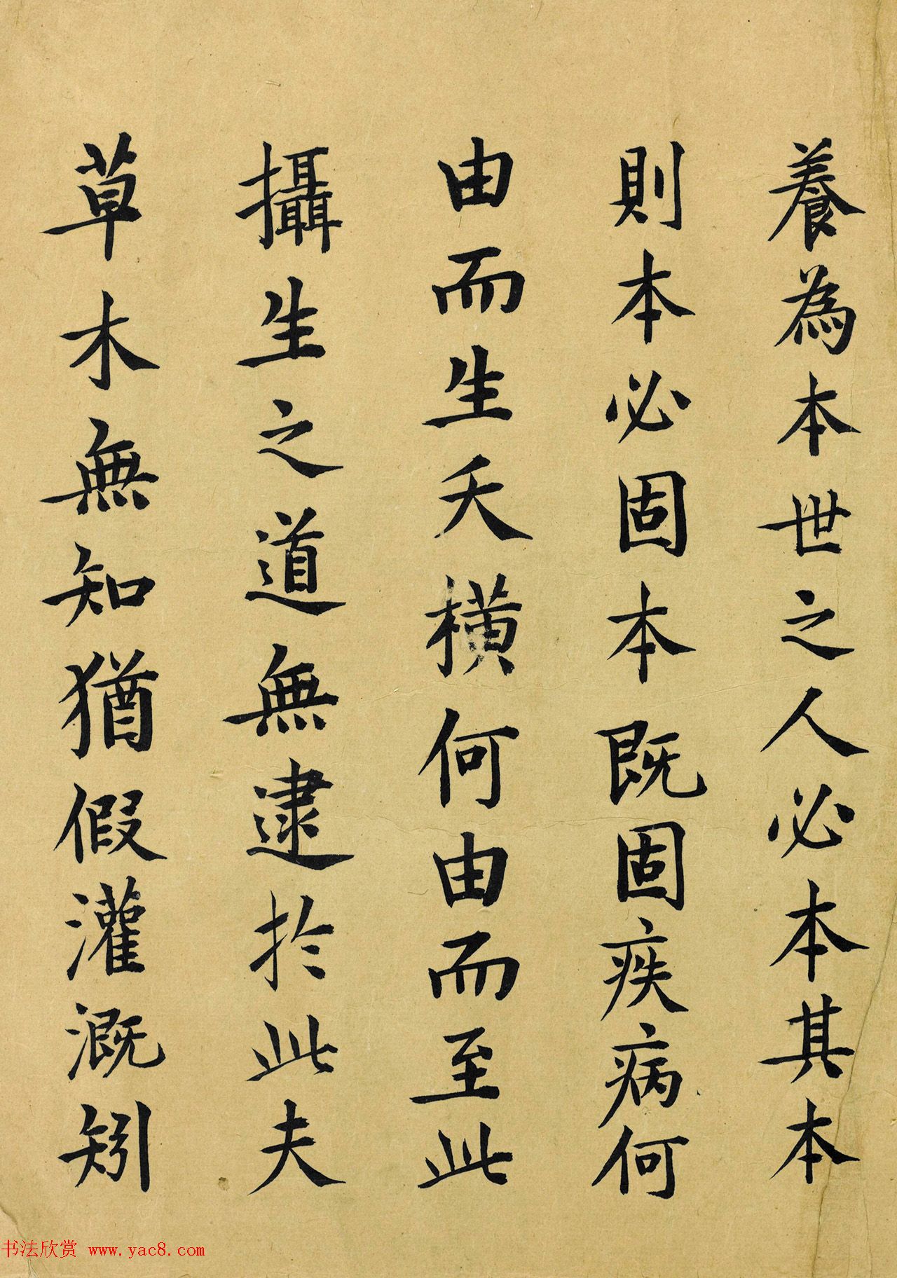 日本玄渊书法《养生训手稿》