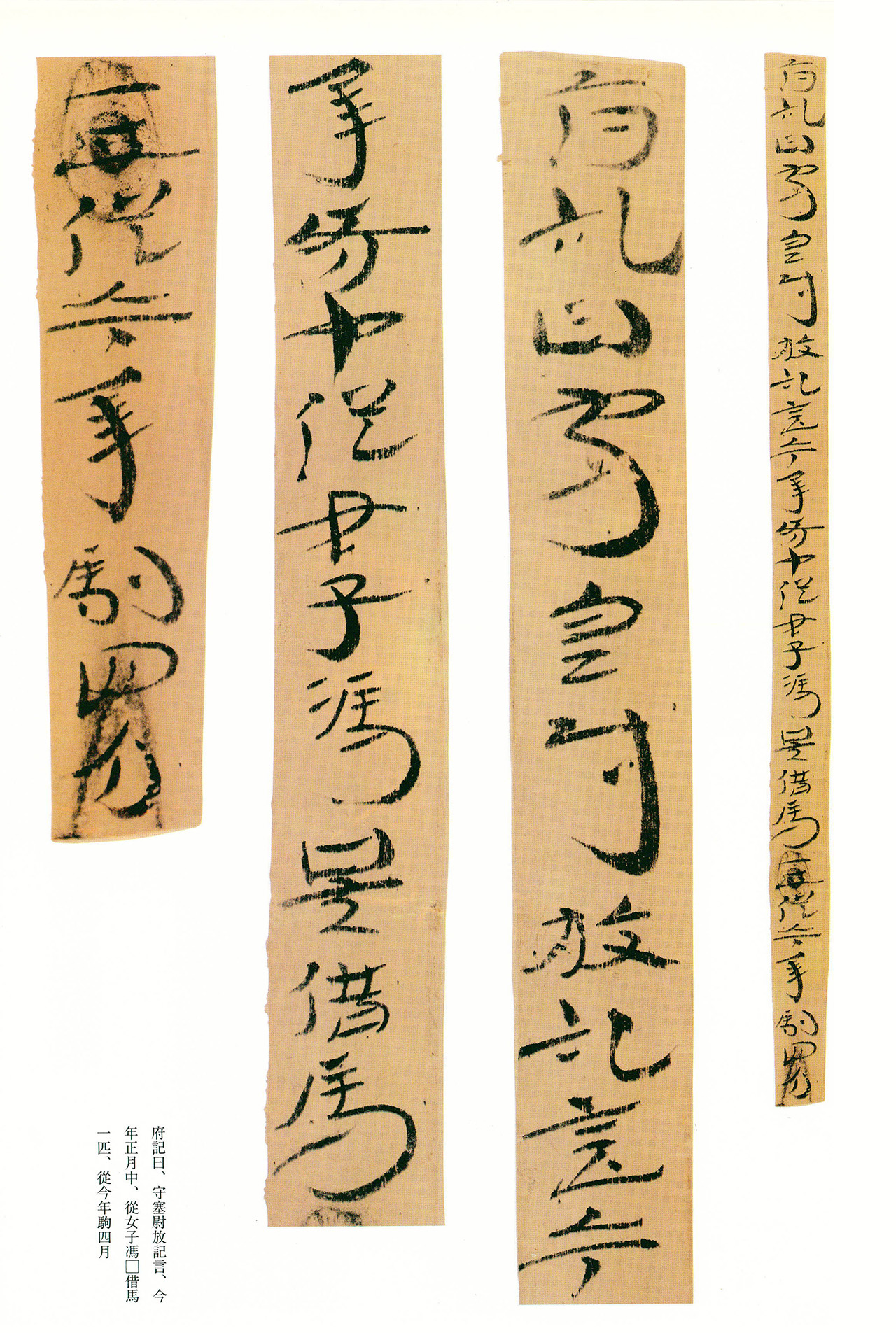 东汉章草隶体木简《误死马驹册》