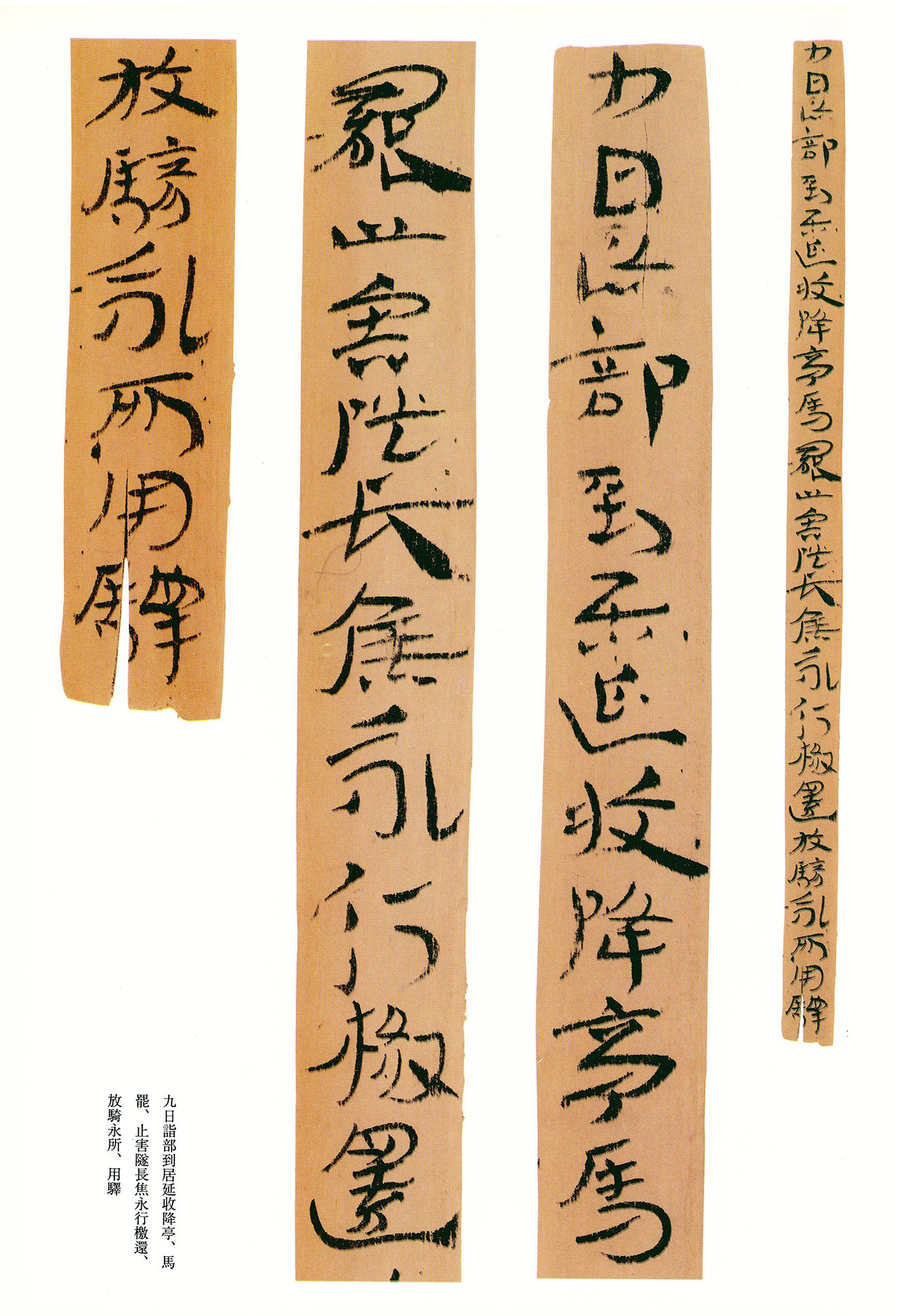 东汉章草隶体木简《误死马驹册》