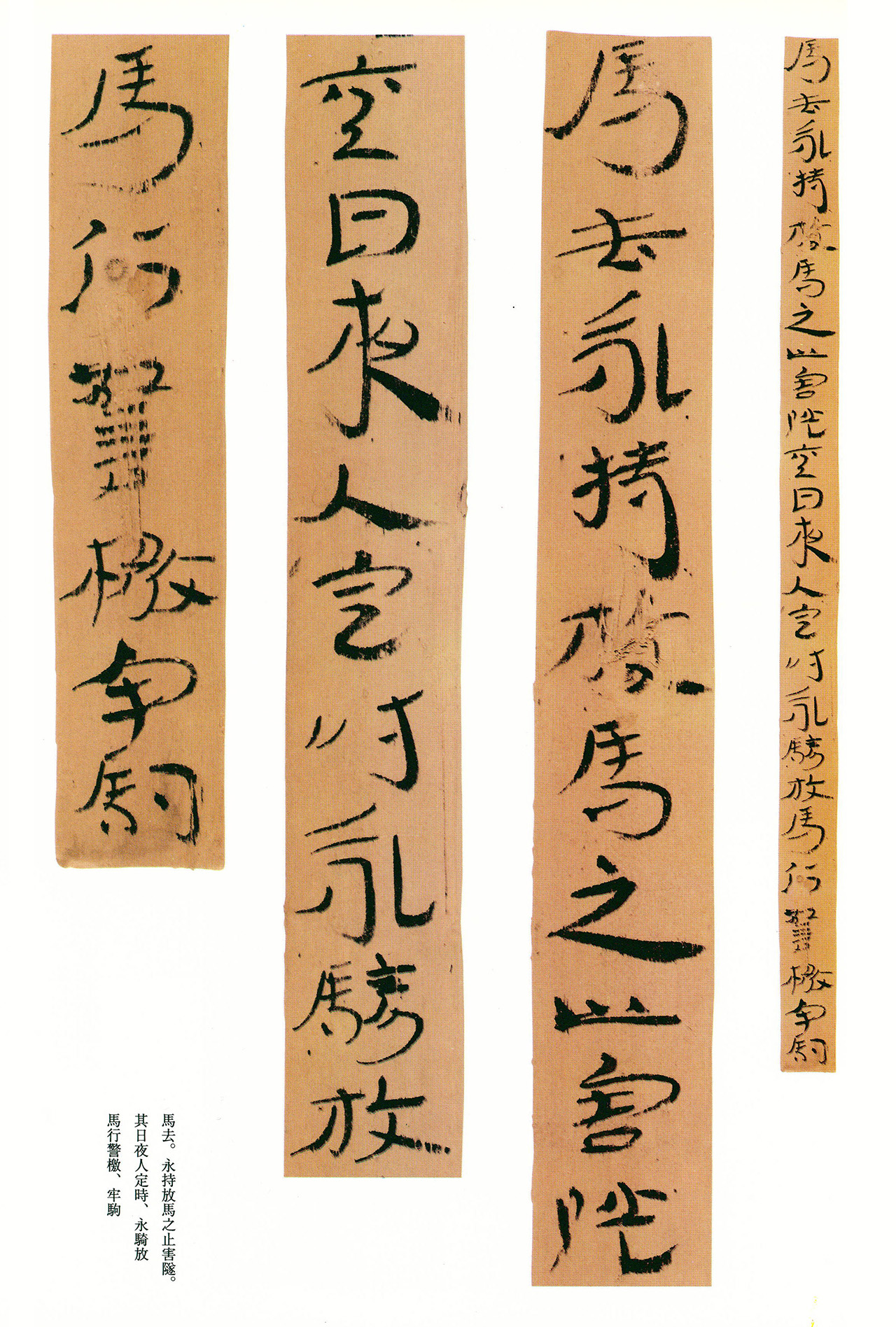 东汉章草隶体木简《误死马驹册》