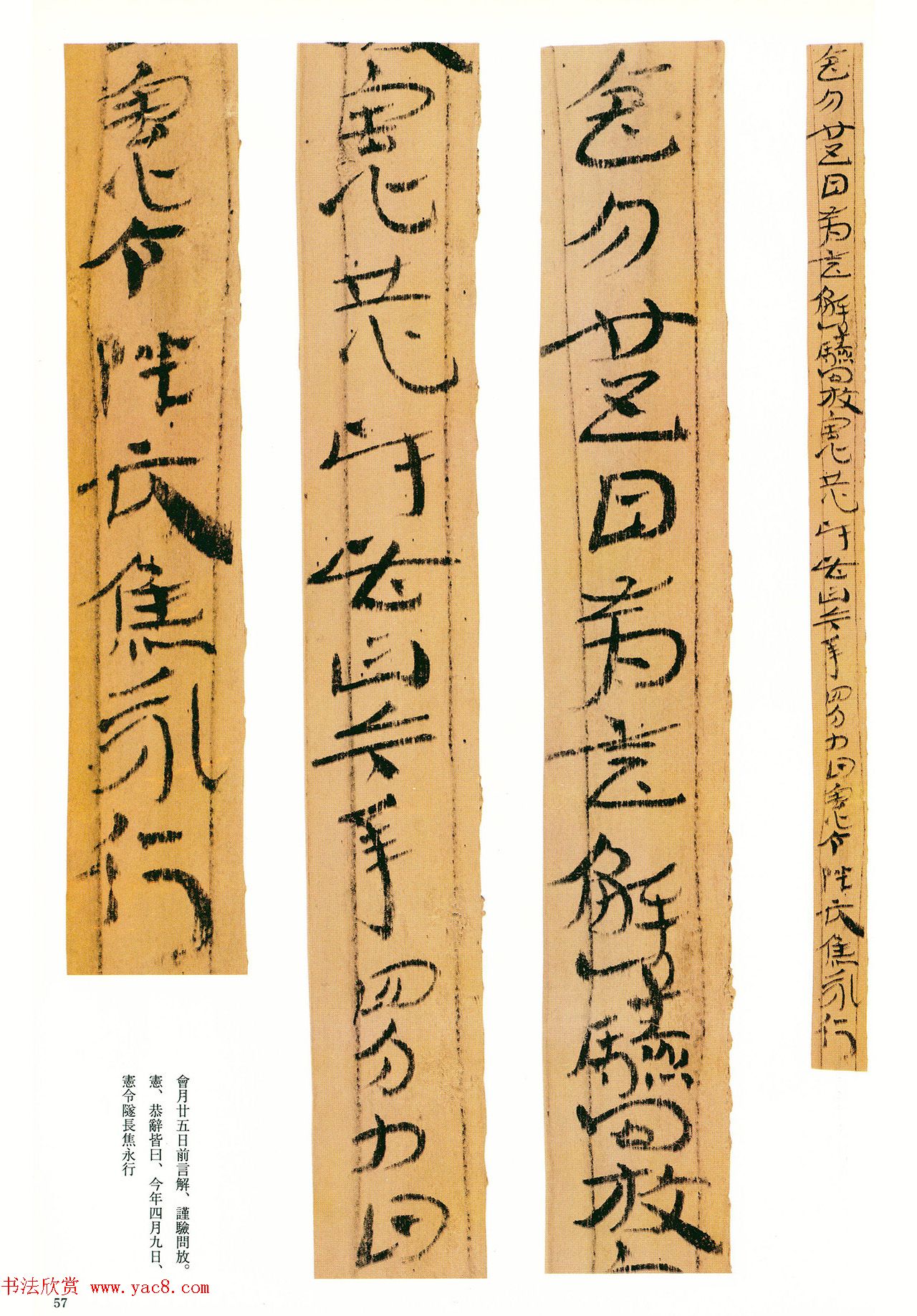 东汉章草隶体木简《误死马驹册》