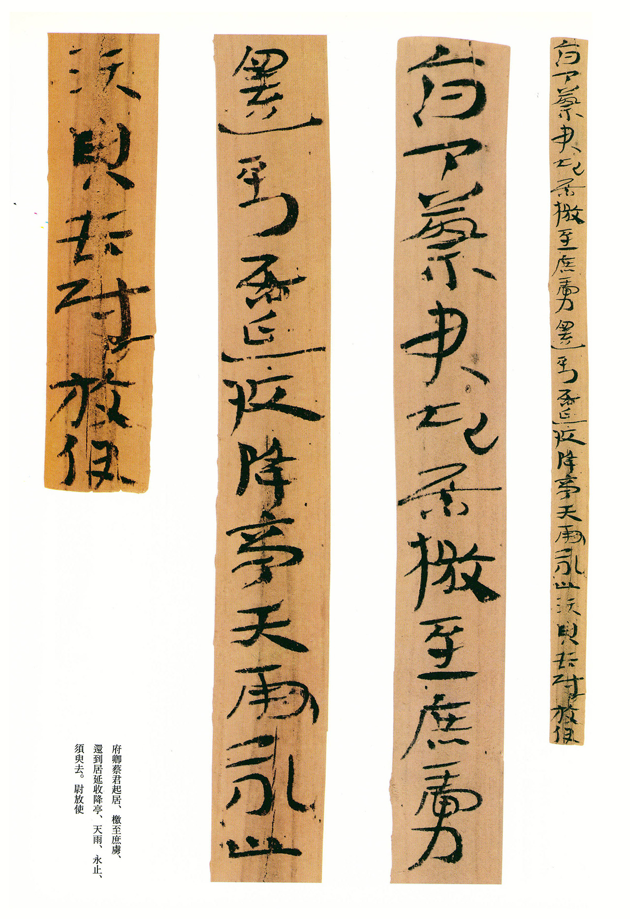 东汉章草隶体木简《误死马驹册》