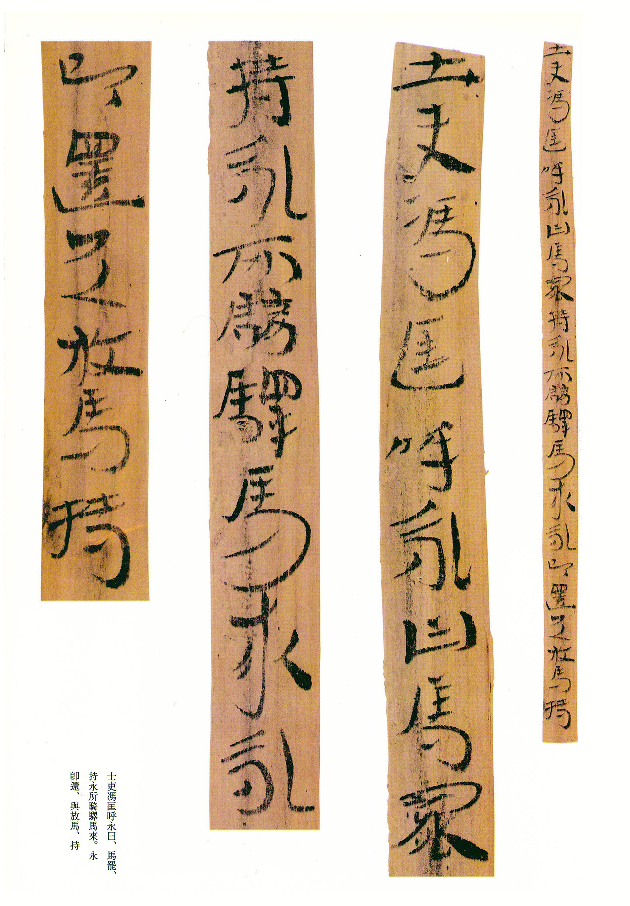 东汉章草隶体木简《误死马驹册》