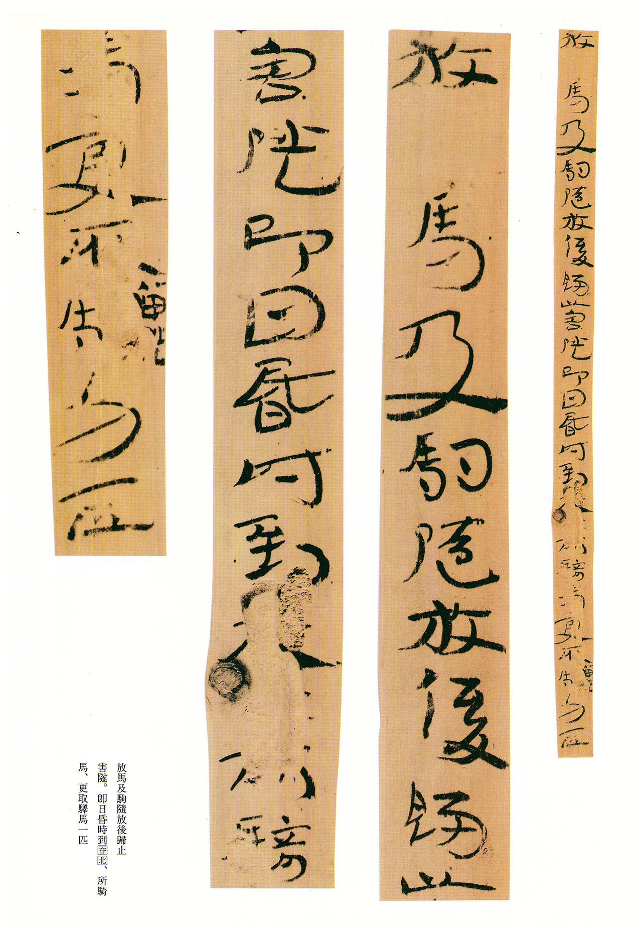 东汉章草隶体木简《误死马驹册》