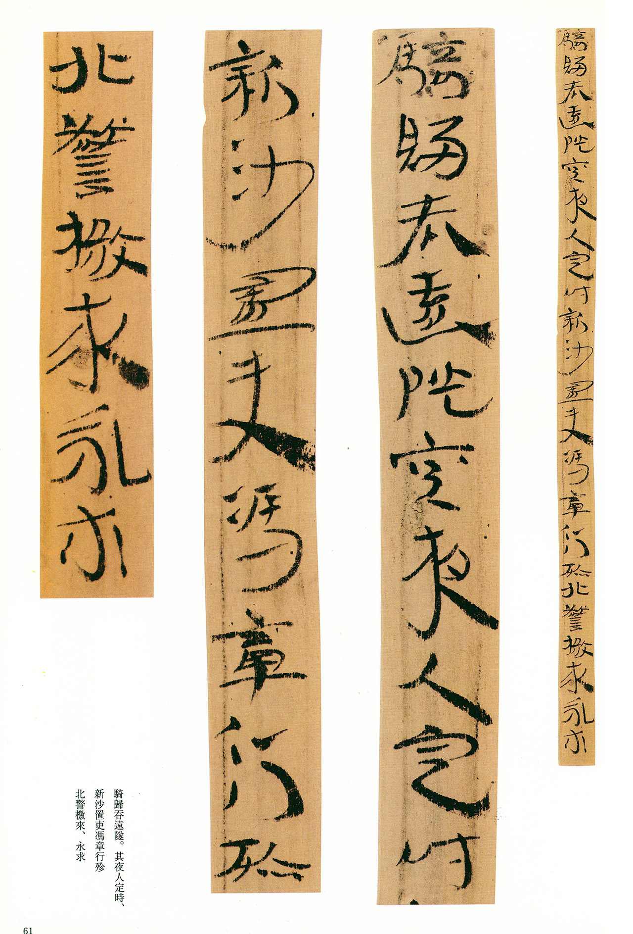 东汉章草隶体木简《误死马驹册》