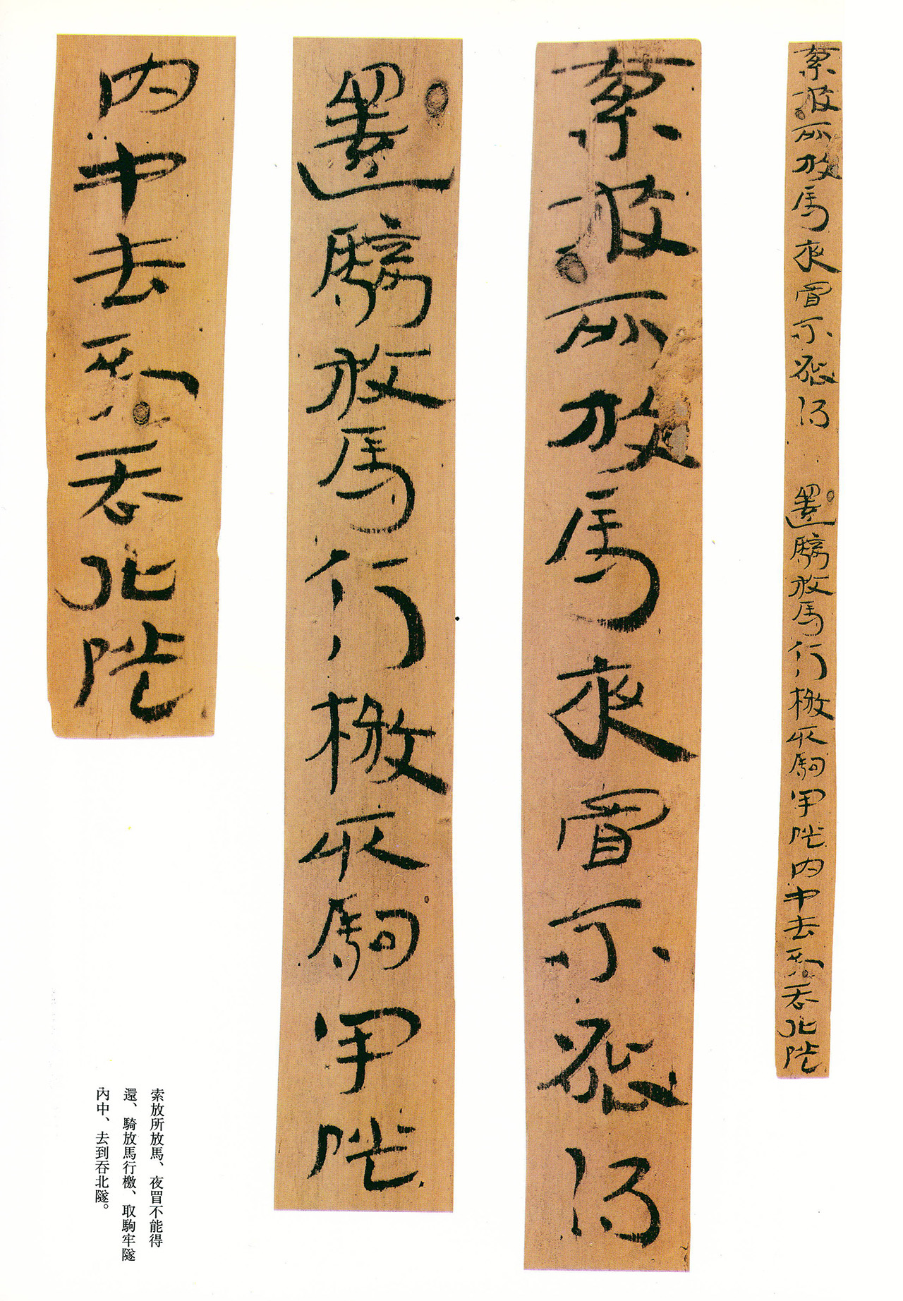 东汉章草隶体木简《误死马驹册》