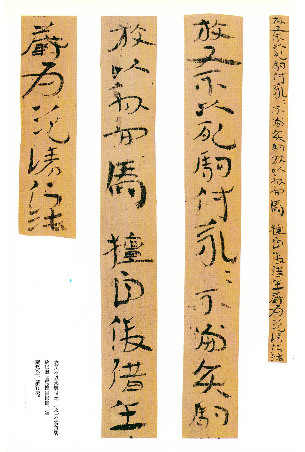 东汉章草隶体木简《误死马驹册》