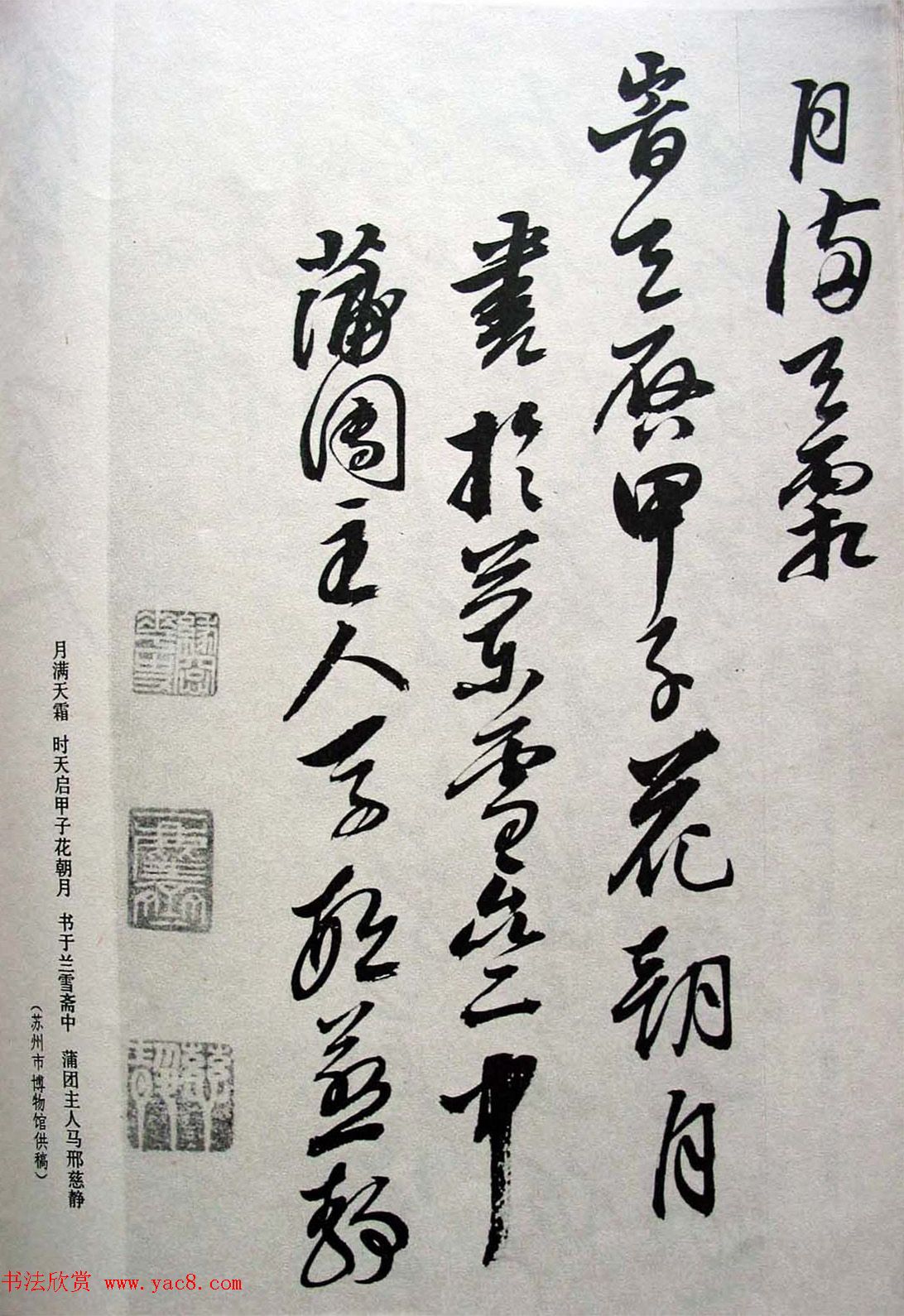 明代女书画家邢慈静草书欣赏