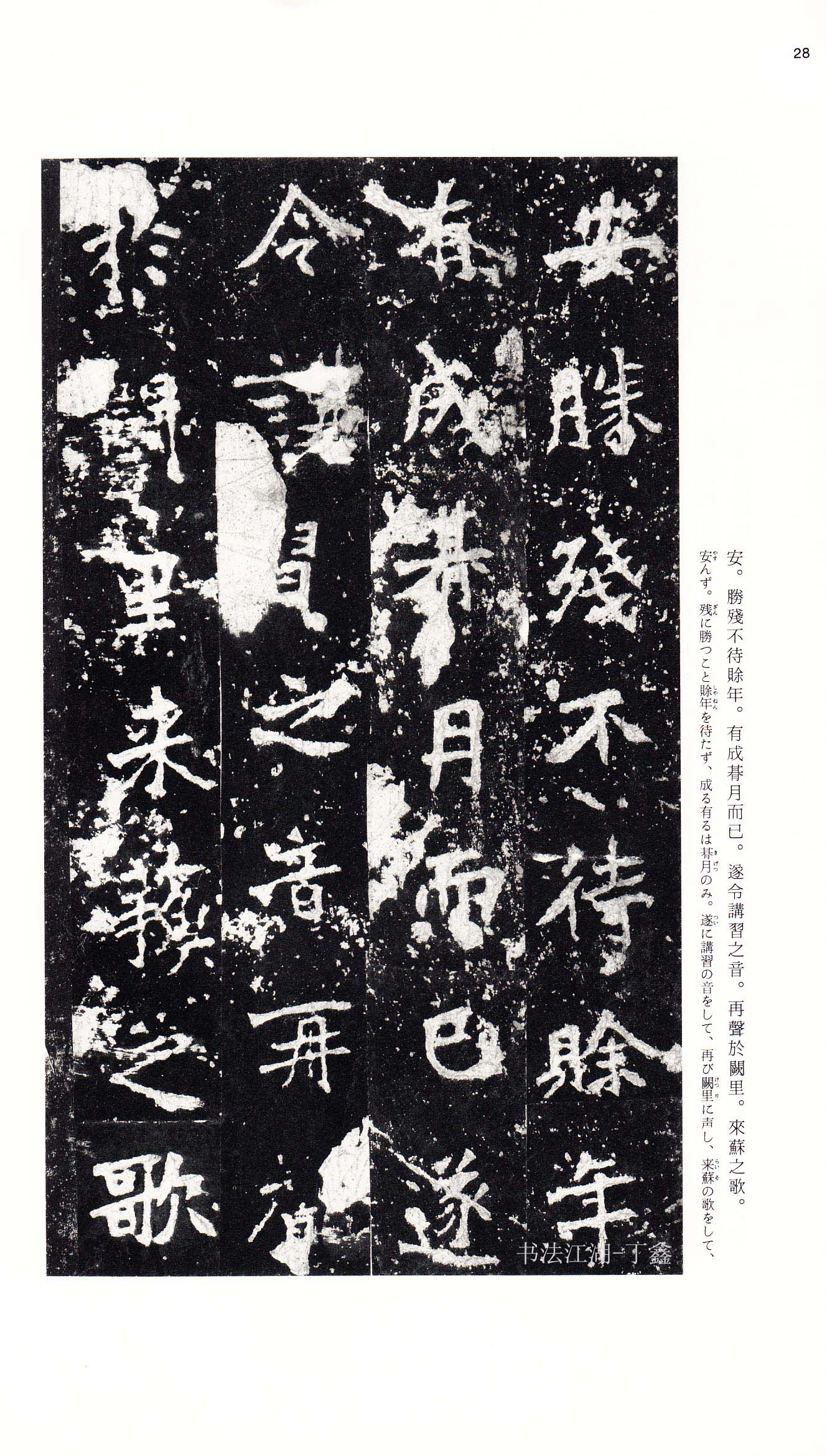 北魏《张猛龙碑》附释文