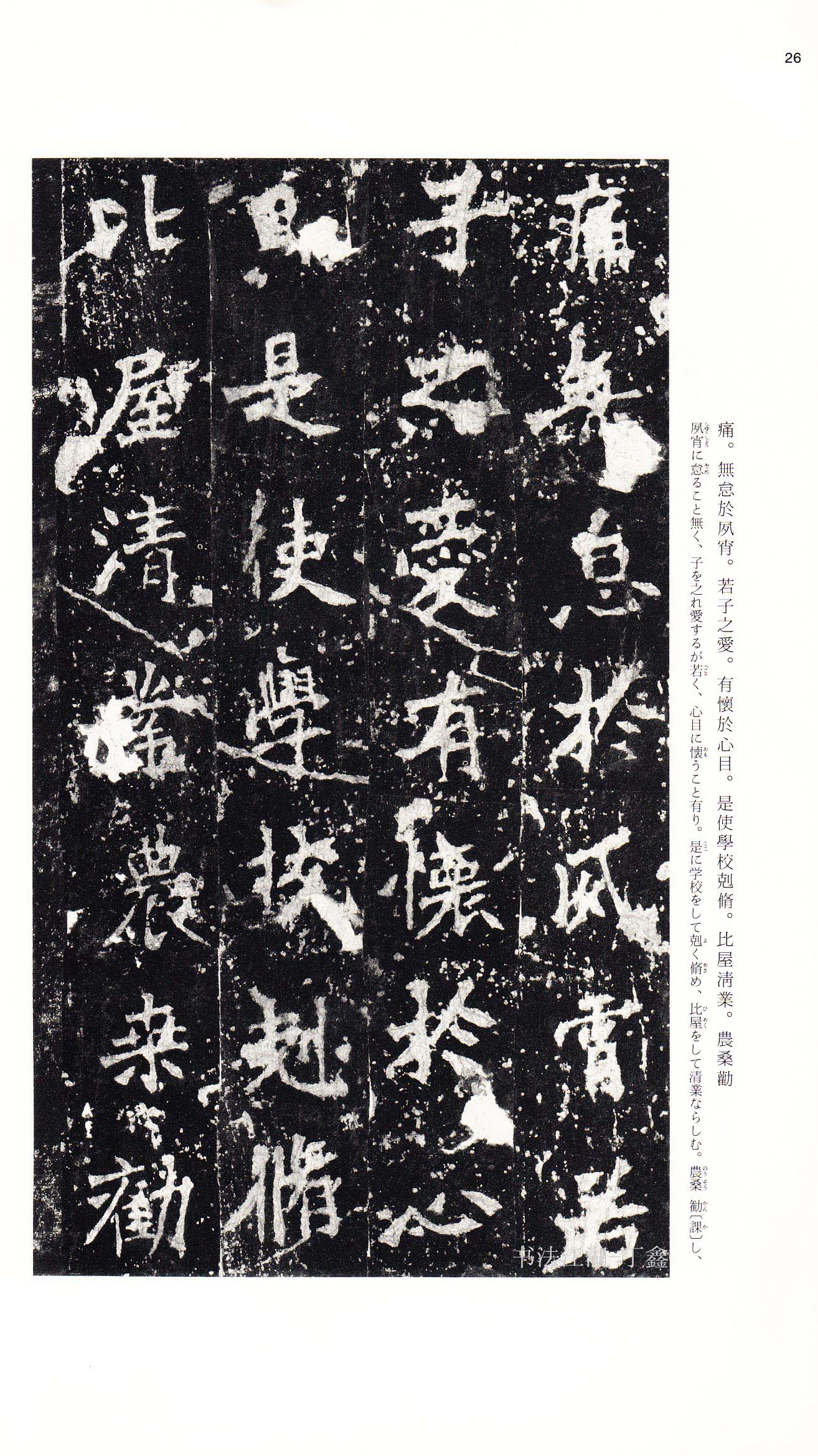 北魏《张猛龙碑》附释文