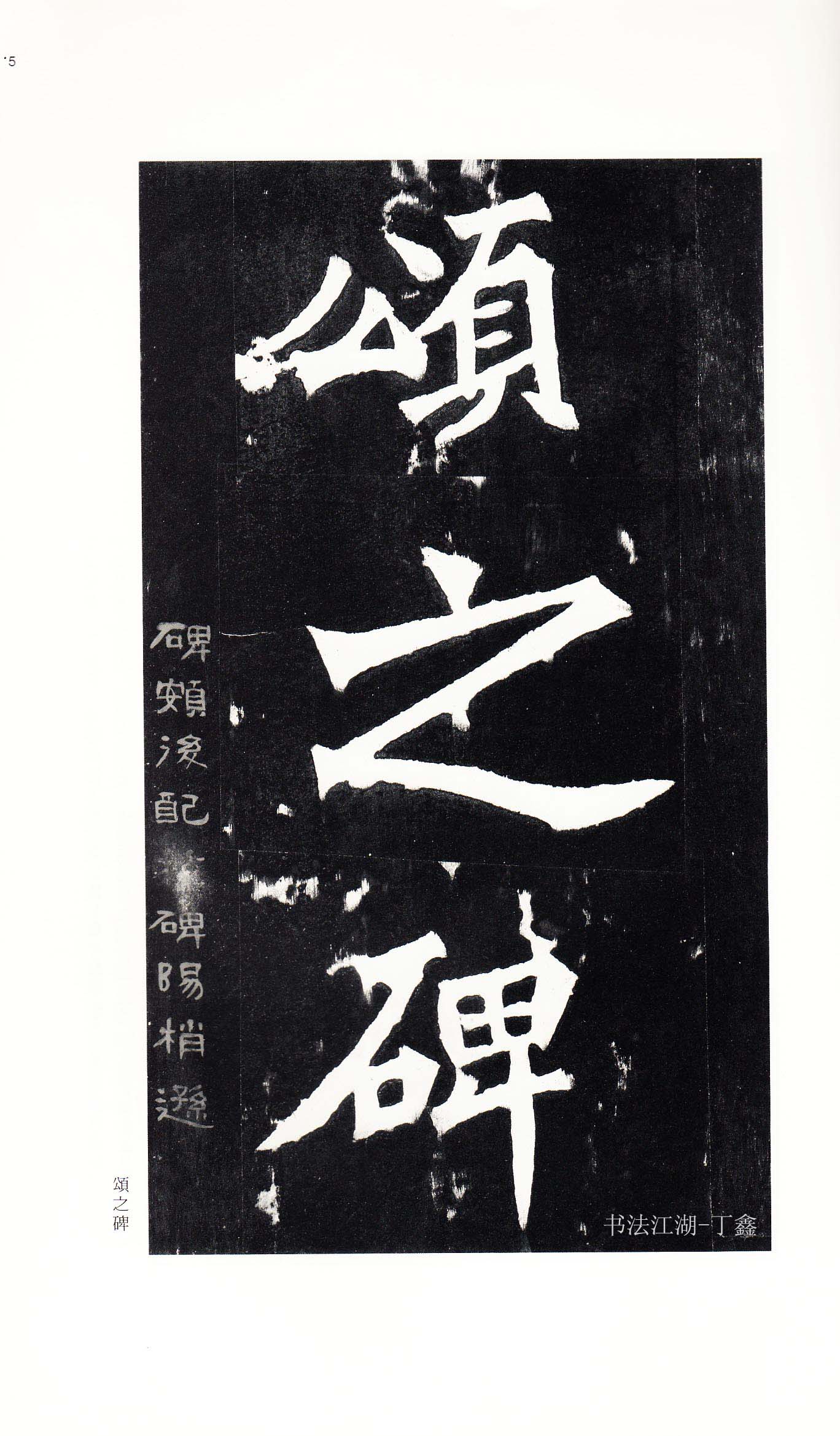 北魏《张猛龙碑》附释文