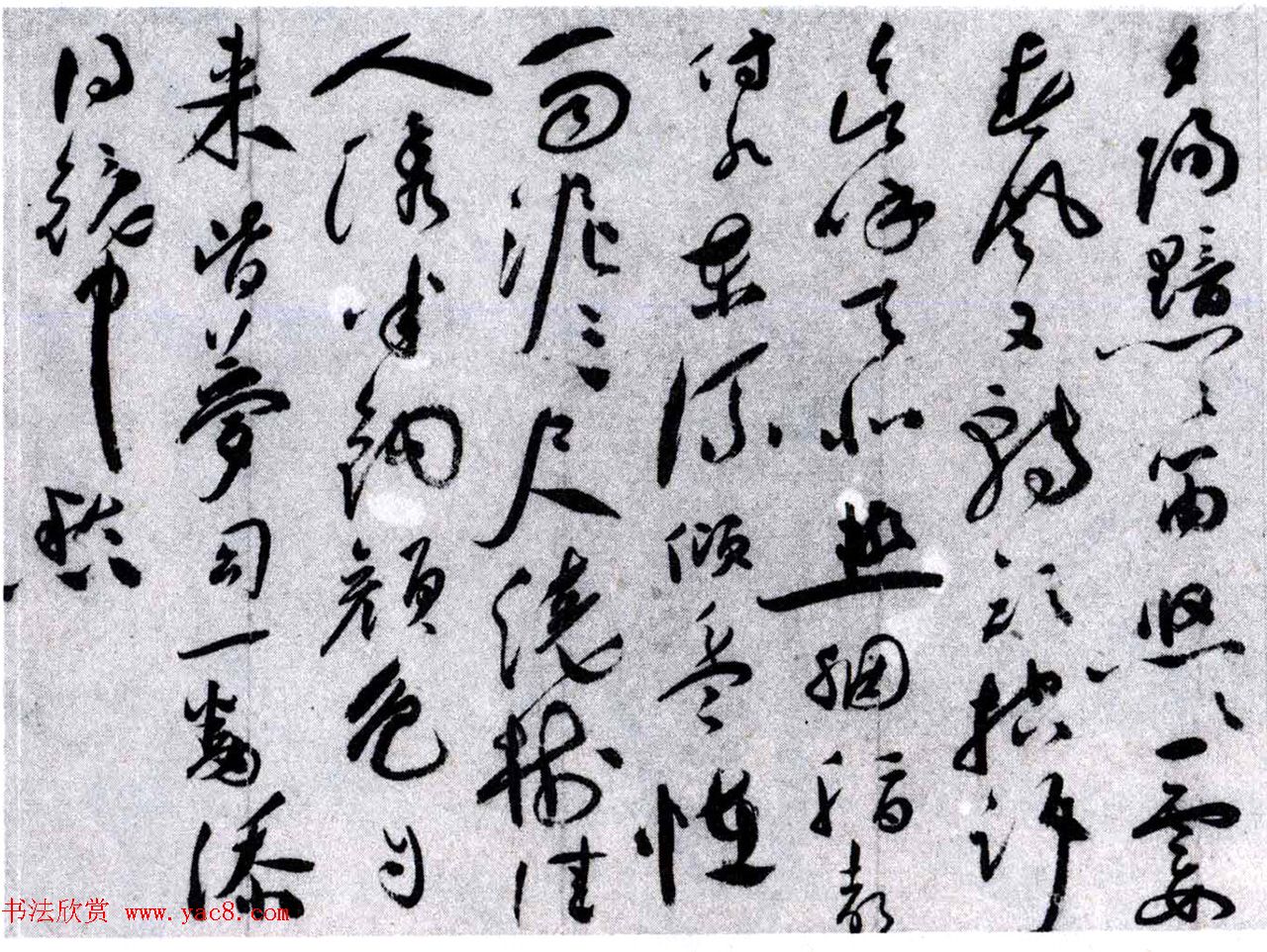 祝允明草书欣赏《唐寅落花诗八首》