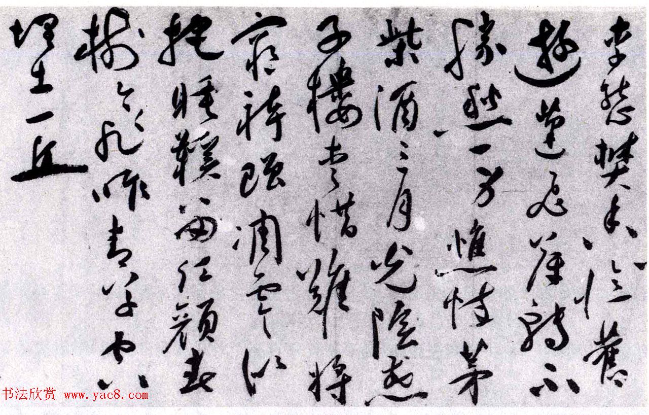 祝允明草书欣赏《唐寅落花诗八首》