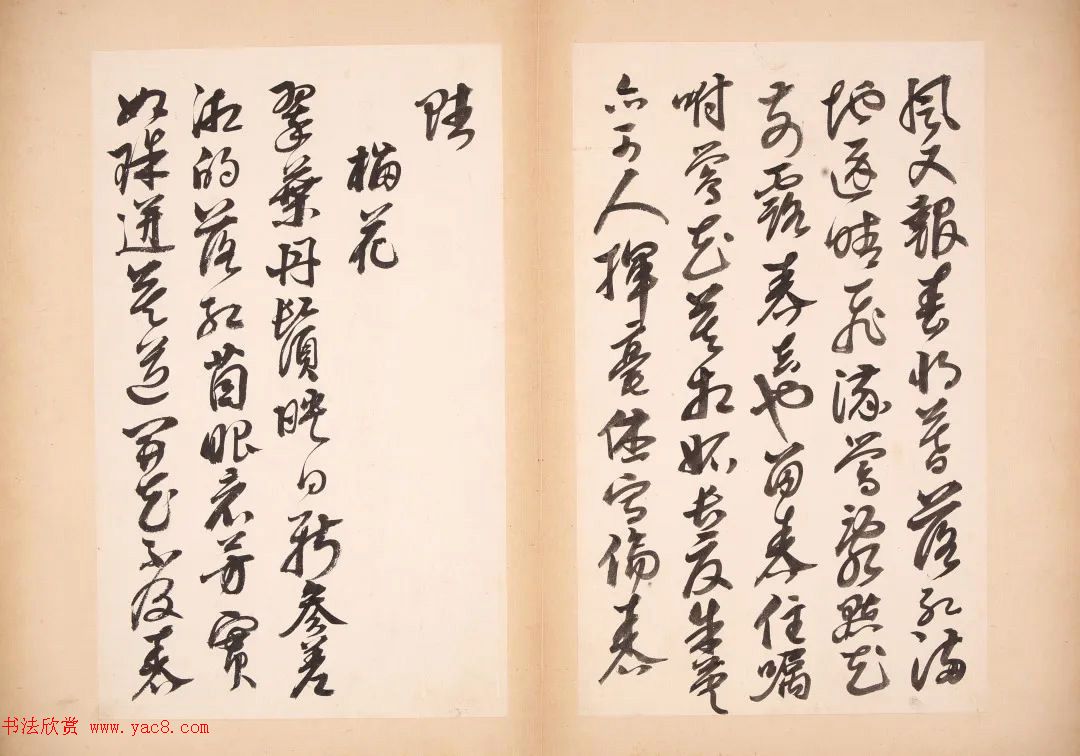 明代女书画家邢慈静草书欣赏