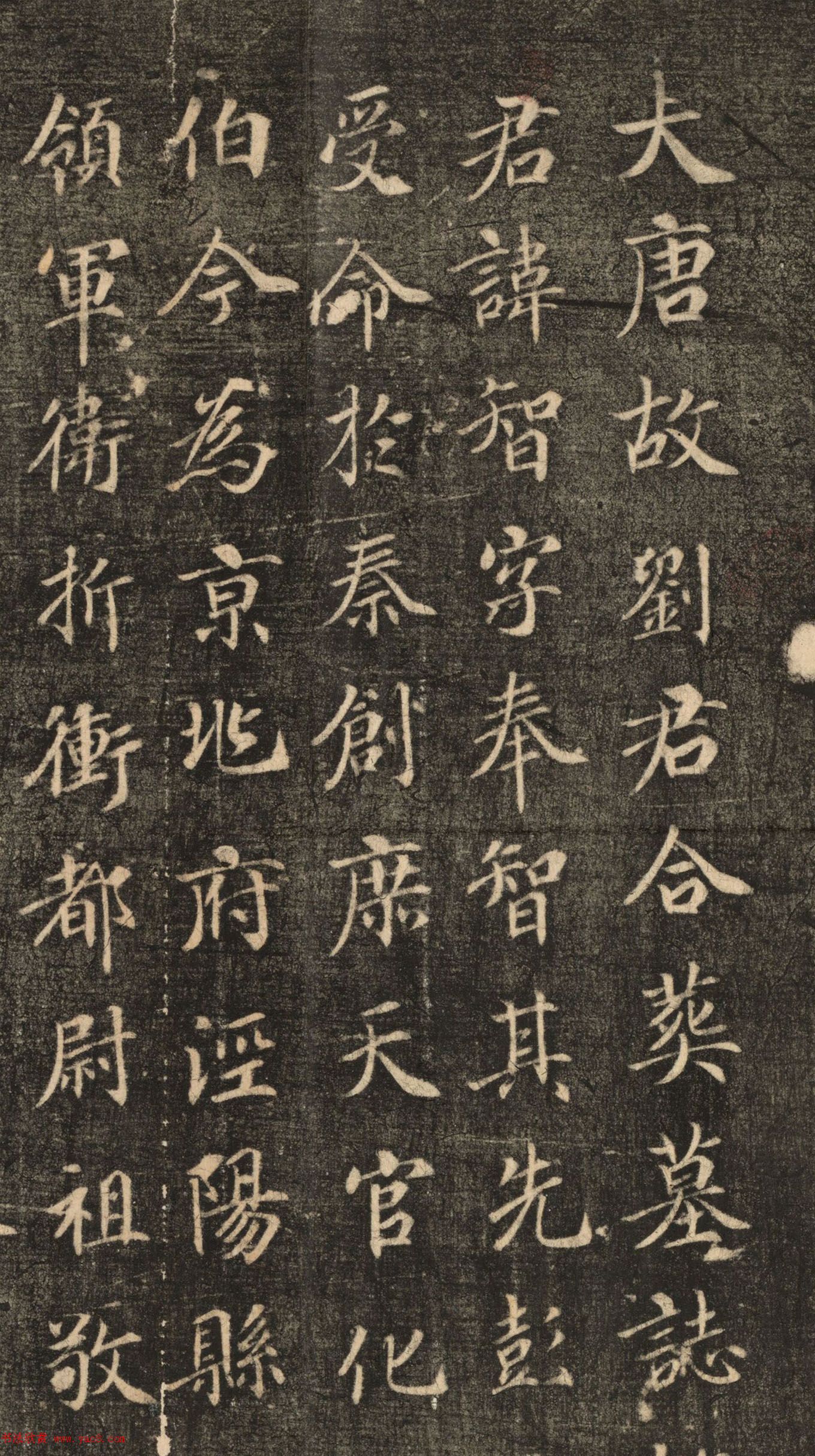 苏灵芝书法欣赏《刘智墓志铭》高清大图