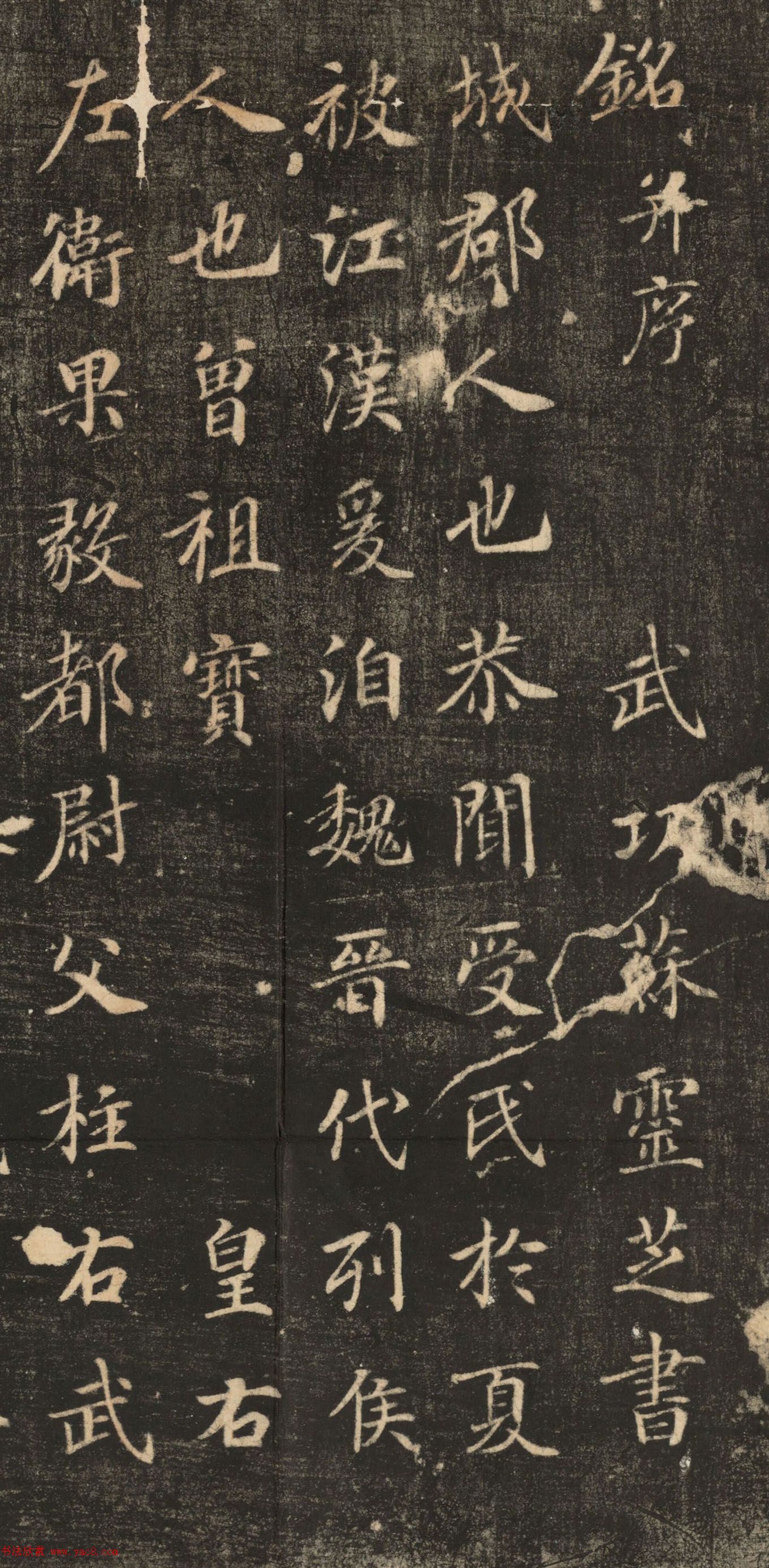 苏灵芝书法欣赏《刘智墓志铭》高清大图