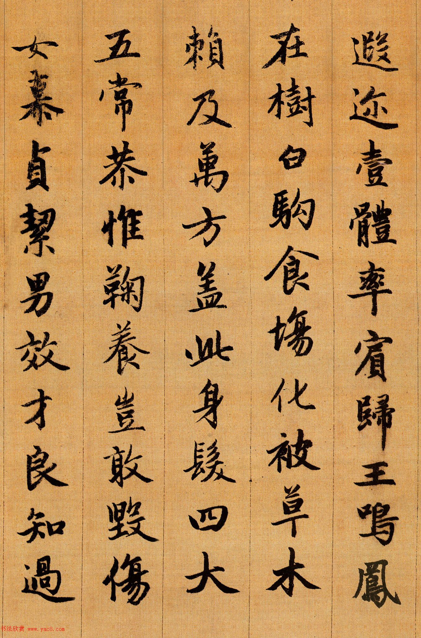 赵孟頫行书欣赏《千字文》