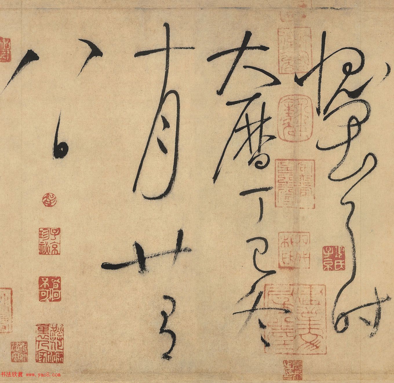 怀素草书欣赏《自叙帖》长卷墨迹全图