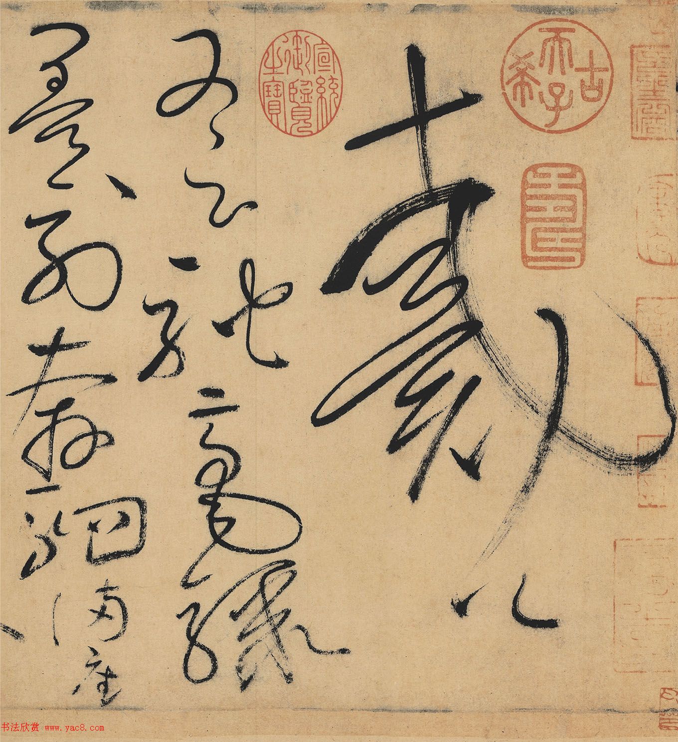 怀素草书欣赏《自叙帖》长卷墨迹全图