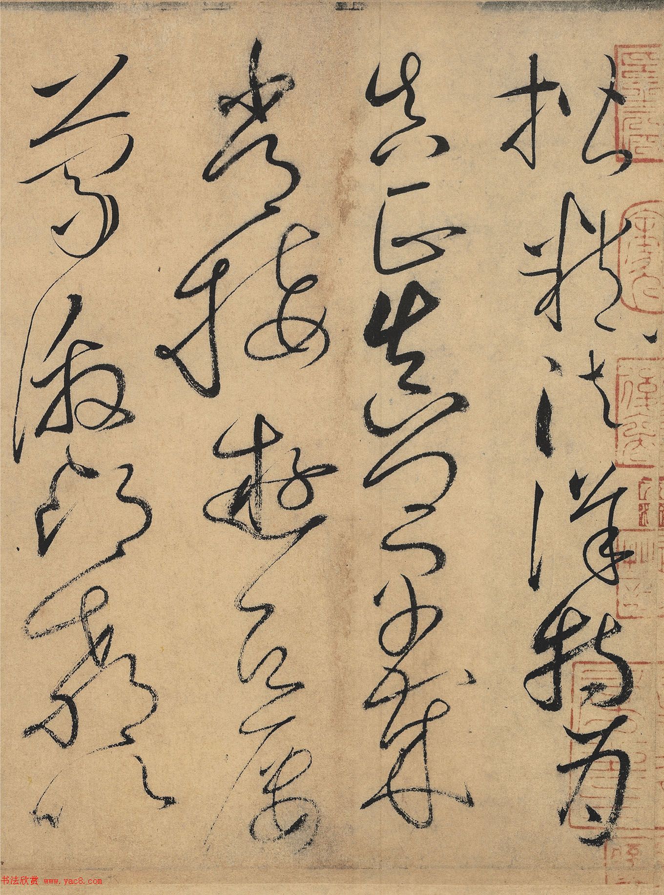 怀素草书欣赏《自叙帖》长卷墨迹全图