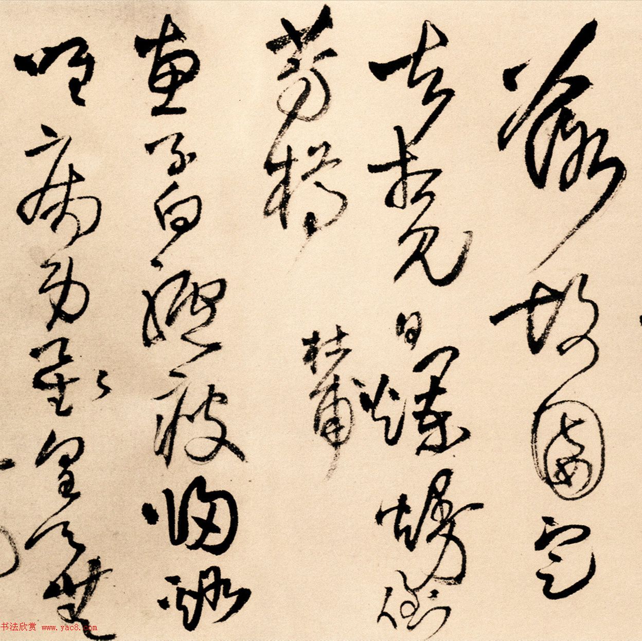 王铎草书欣赏《为葆光张老亲翁书》诗卷