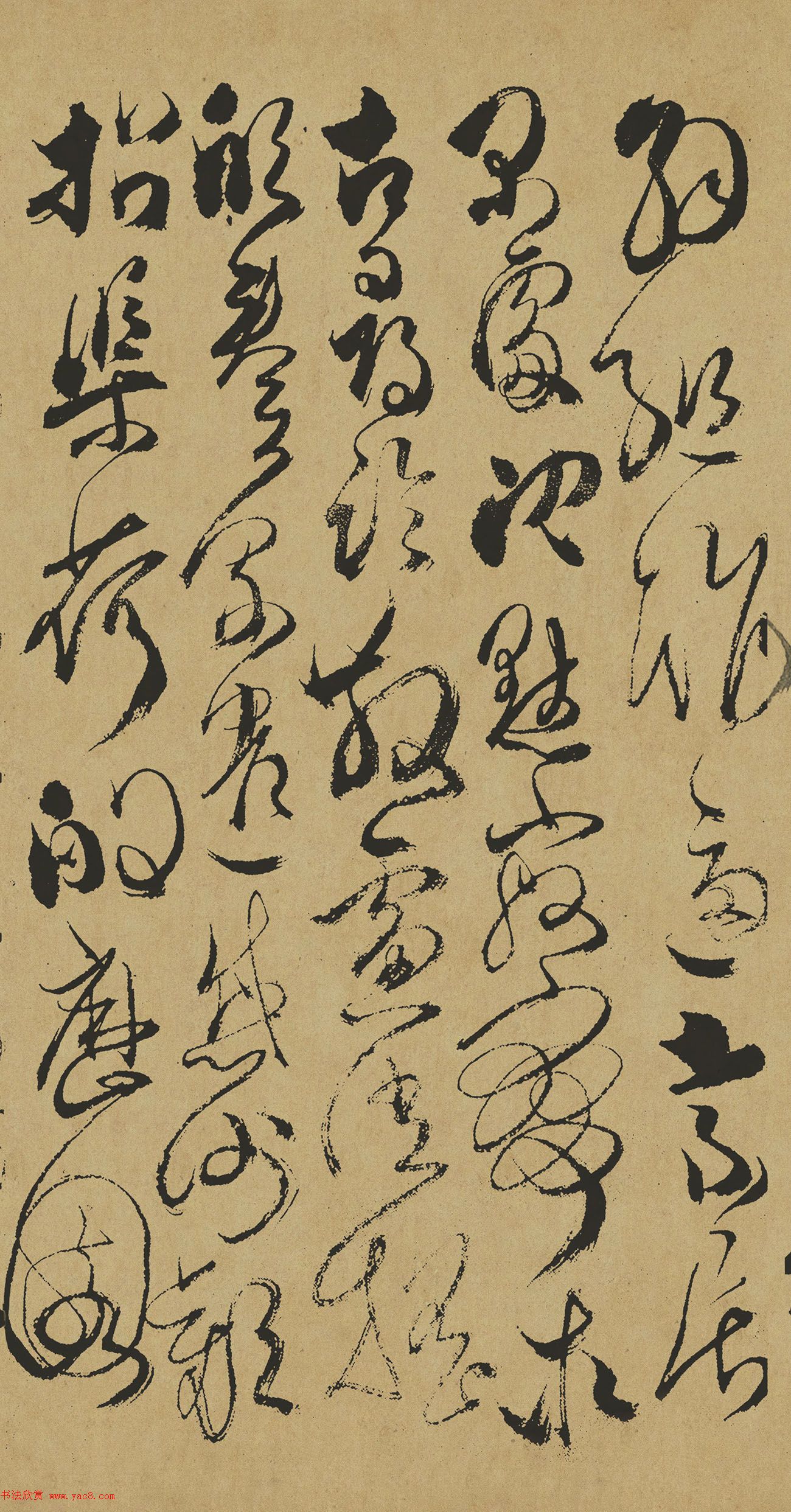 清代傅山草书作品《千字文》