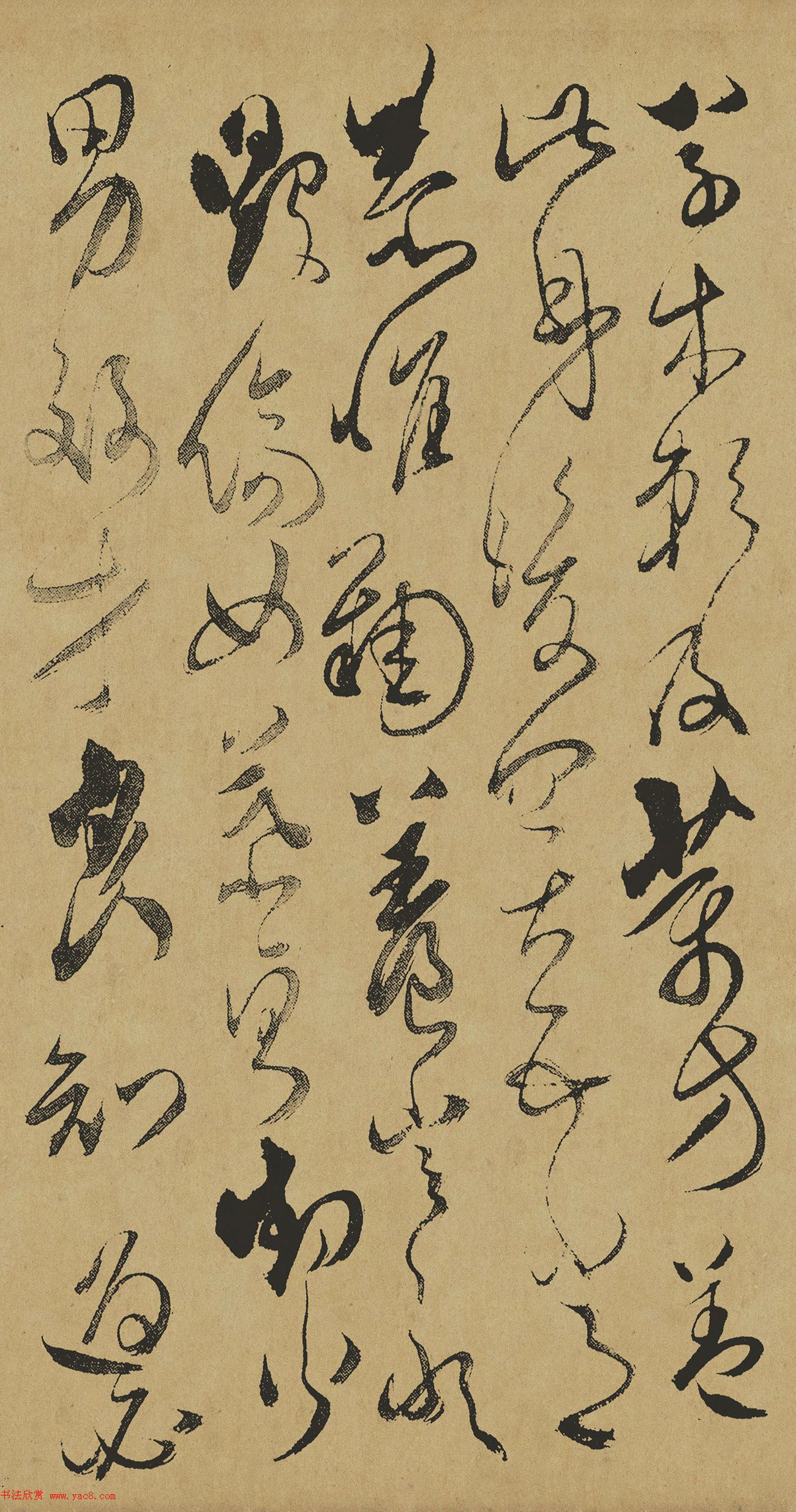 清代傅山草书作品《千字文》