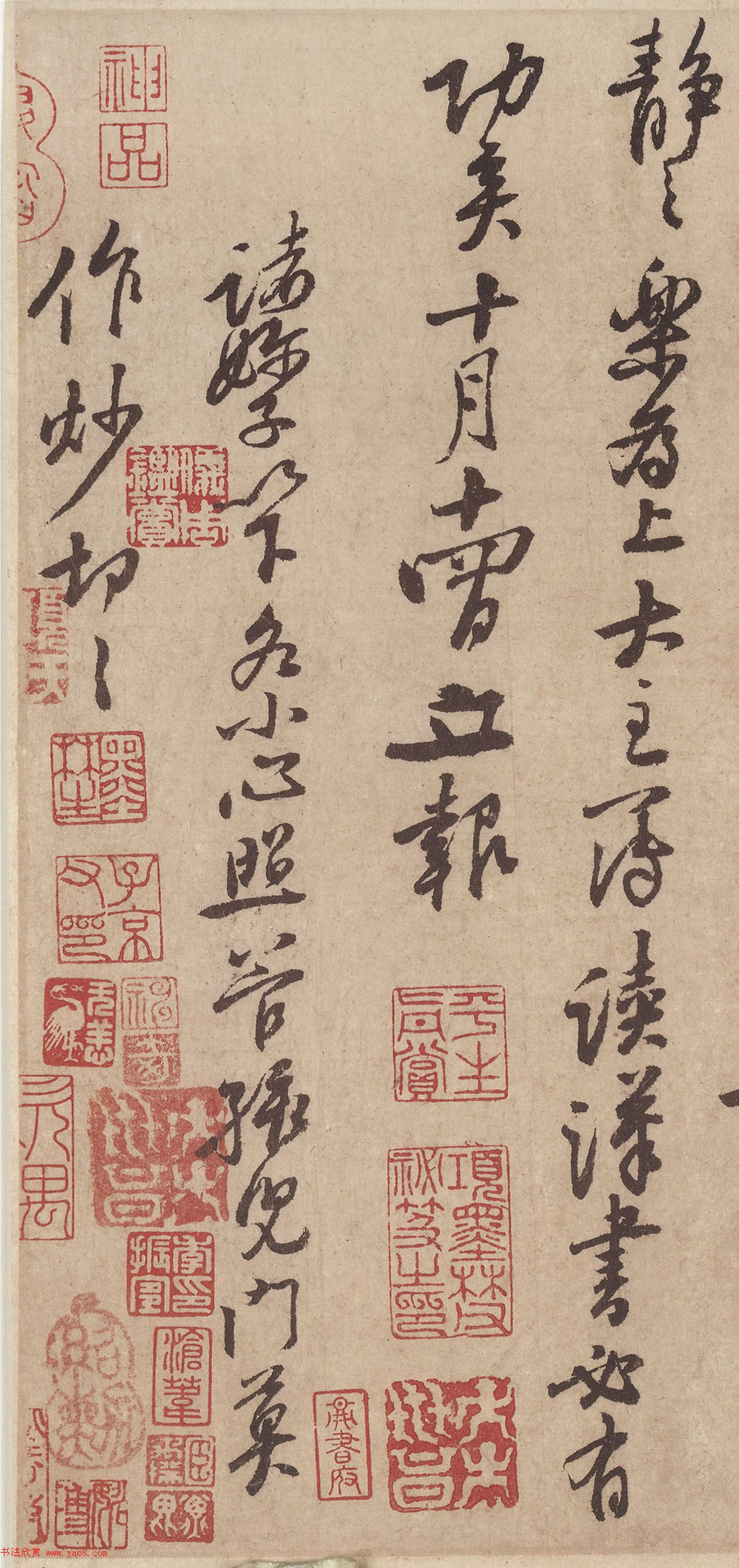 黄庭坚行书欣赏《与天民知命书》