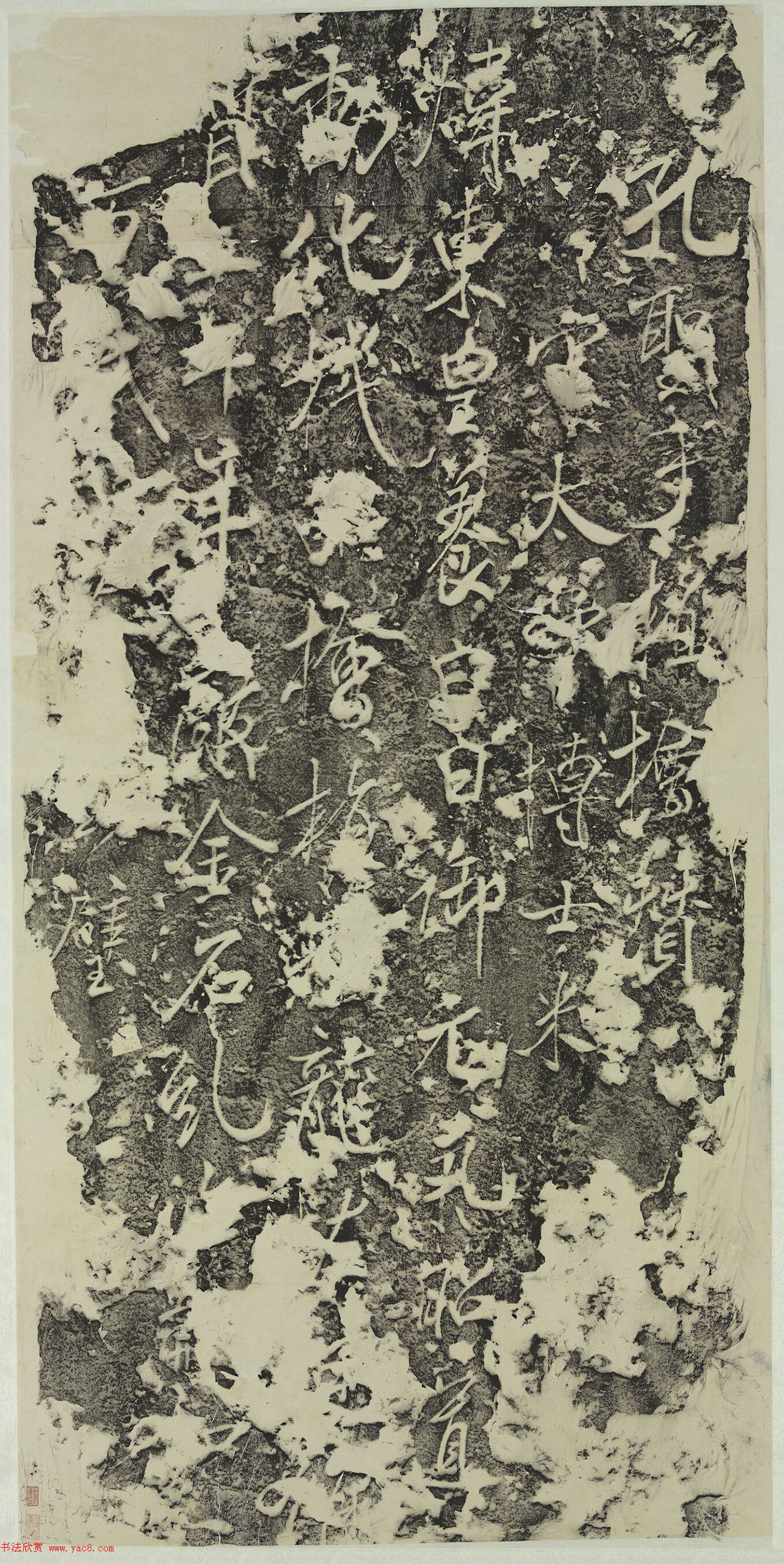 米芾行书《孔圣手植桧赞碑》