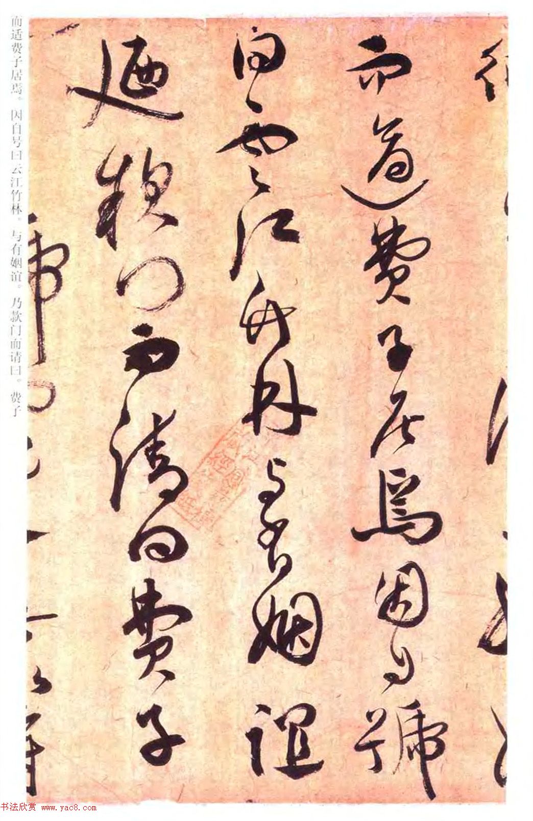 祝允明草书书法赏析《云江记》